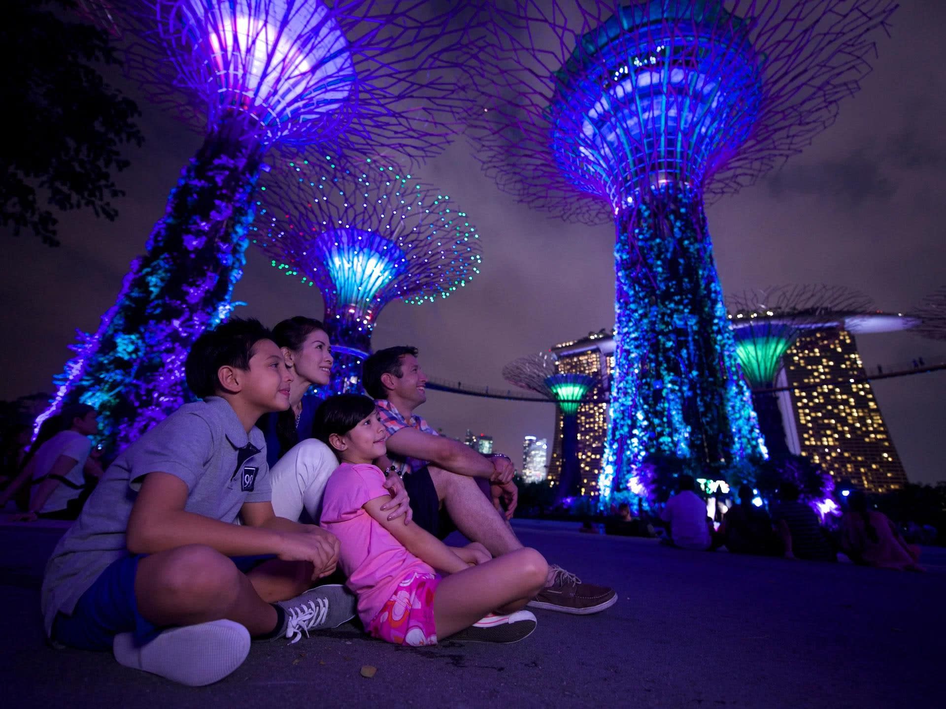 Singapore River Cruise & Gardens by the Bay Evening Tour - Image 1