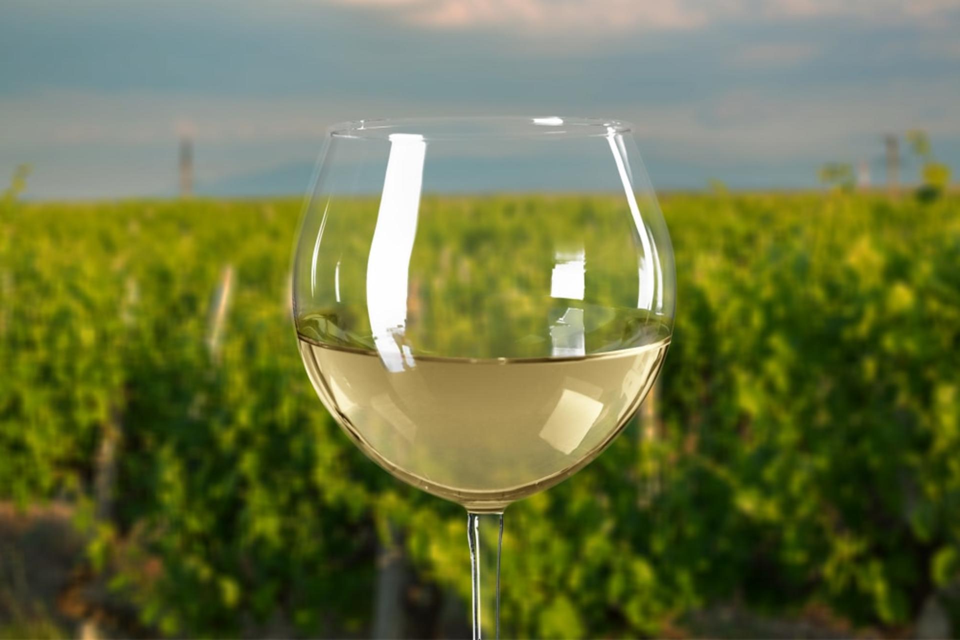 Mornington Peninsula Private Wine Tour with Lunch - Thumbnail 5