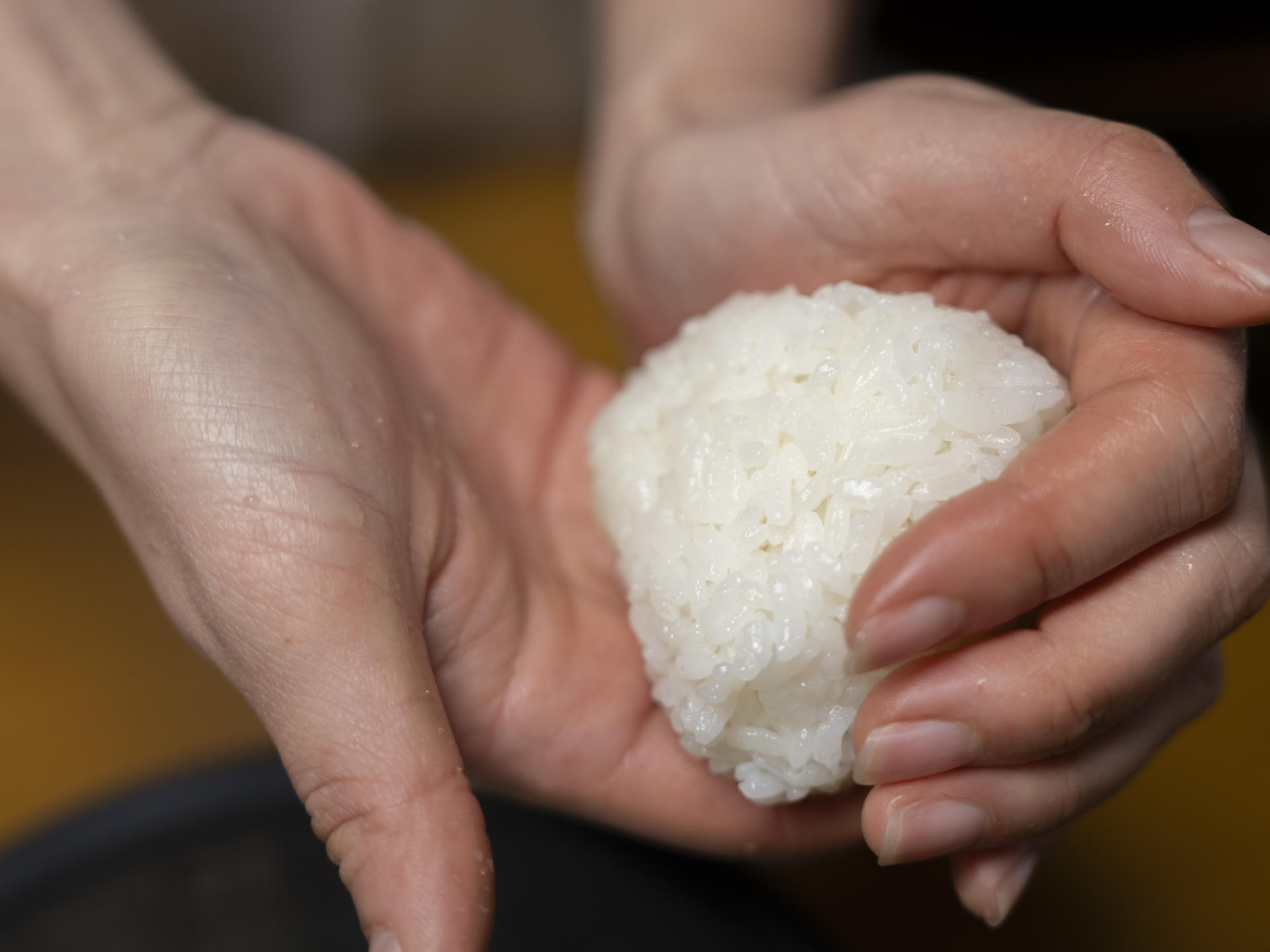 Kyoto Dashi & Umami Tasting Experience in Historic Kyoto Home - Thumbnail 16