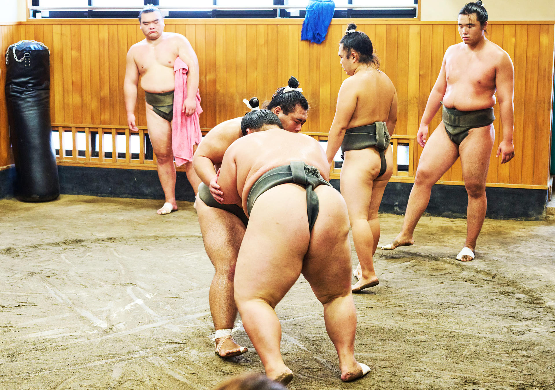 Tokyo: Sumo Morning Practice Viewing Tour at a Real Stable - Image 1