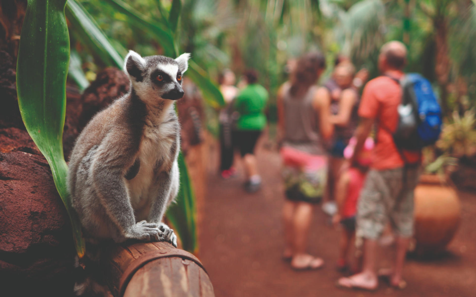Oasis Wildlife Fuerteventura ticket - Thumbnail 4