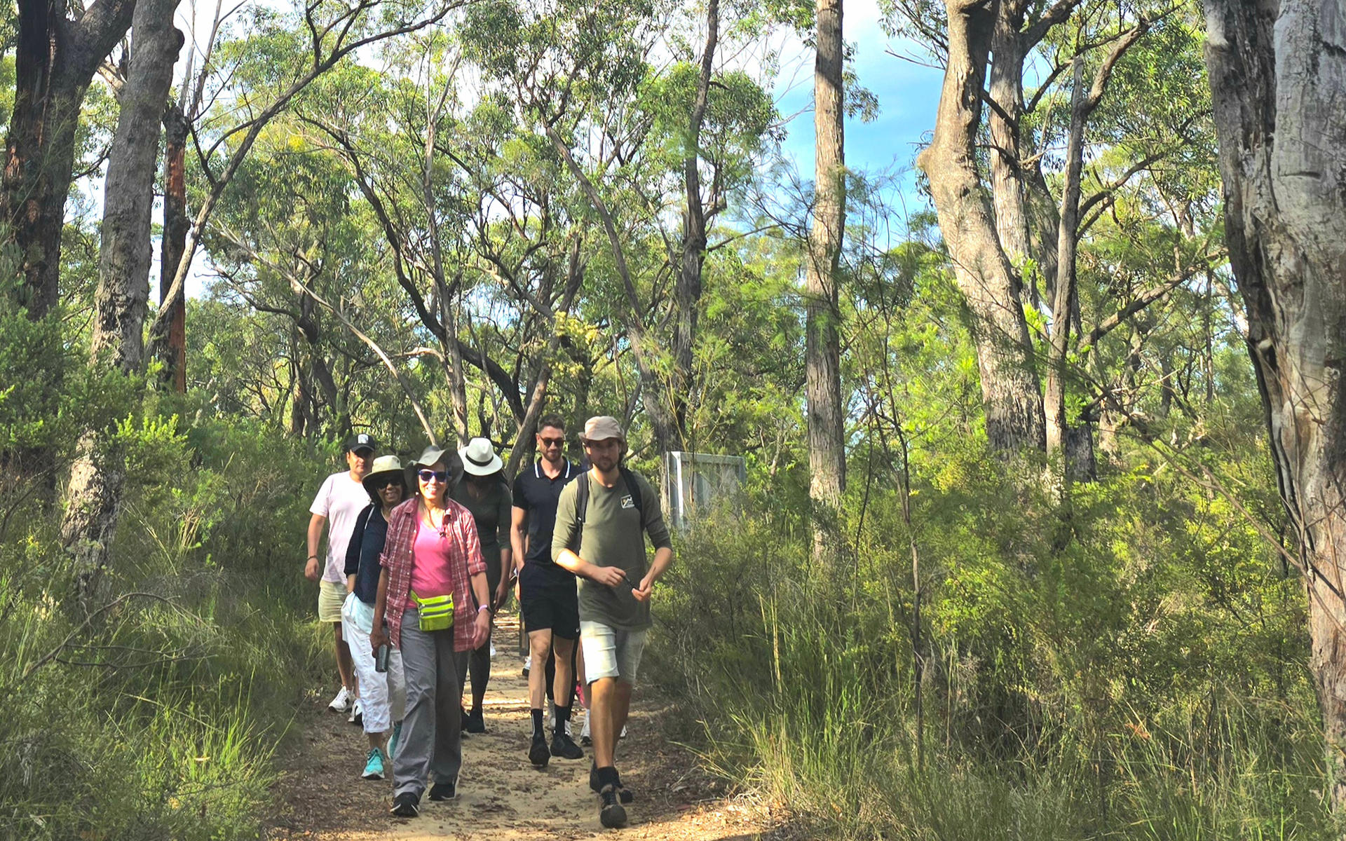 Sydney Blue Mountains Full-Day Small Group Waterfall Tour - Thumbnail 10