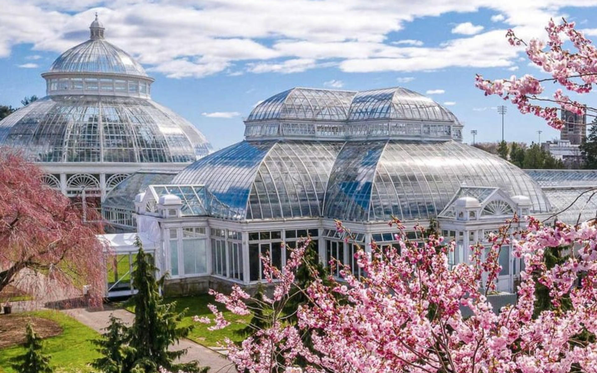 New York Botanical Garden Ticket - Thumbnail 19