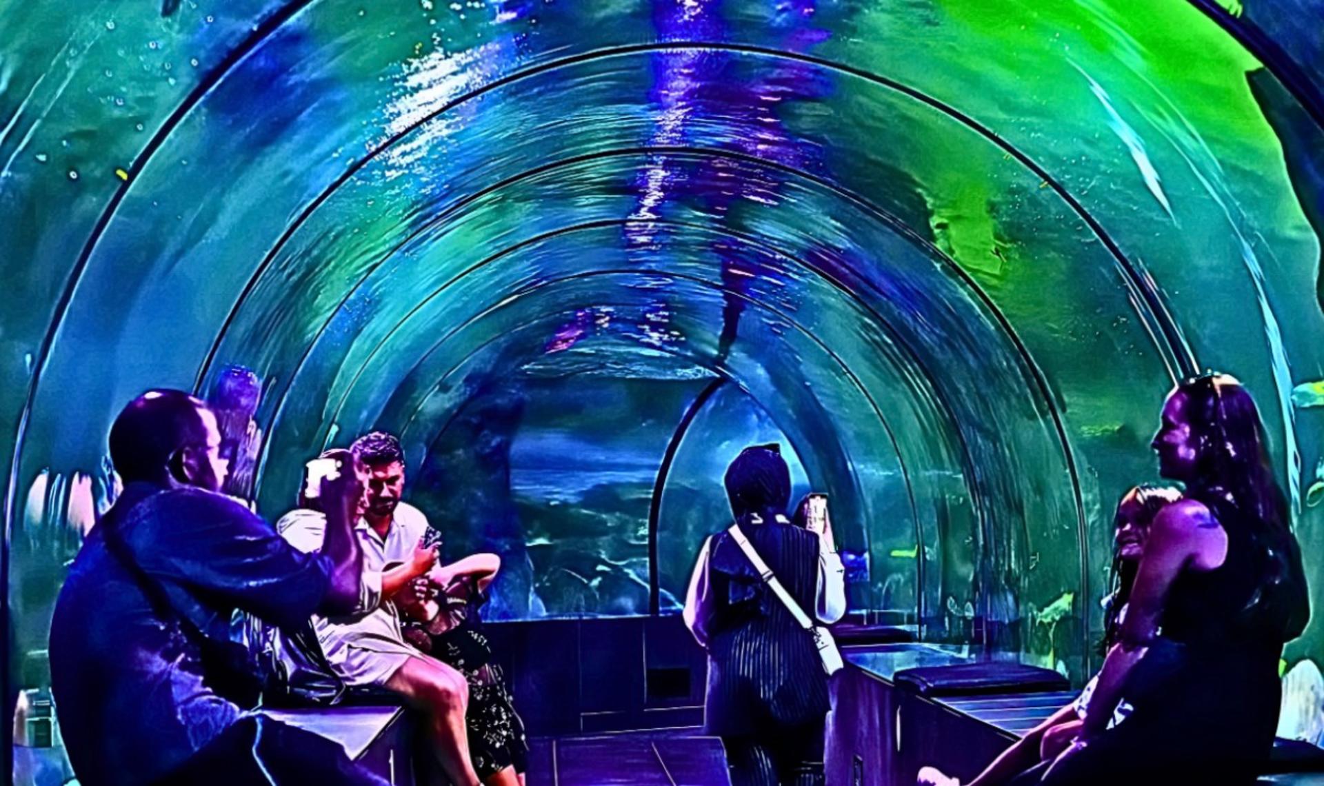 ViaSea Aquarium Ticket - Thumbnail 3