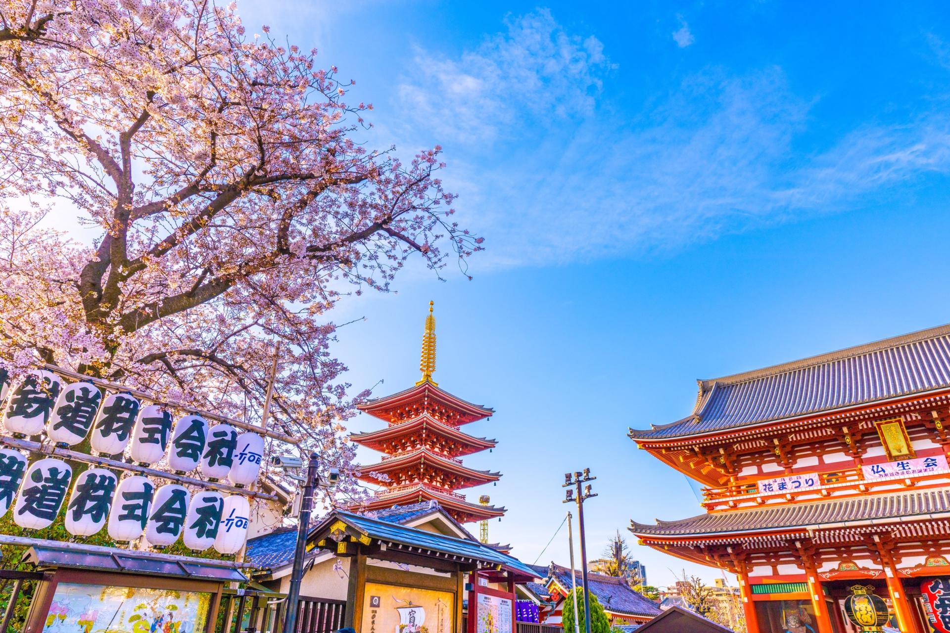 Tokyo: Asakusa & Sensoji ー Oldest Temple Walking Tour (2hrs) - Thumbnail 5