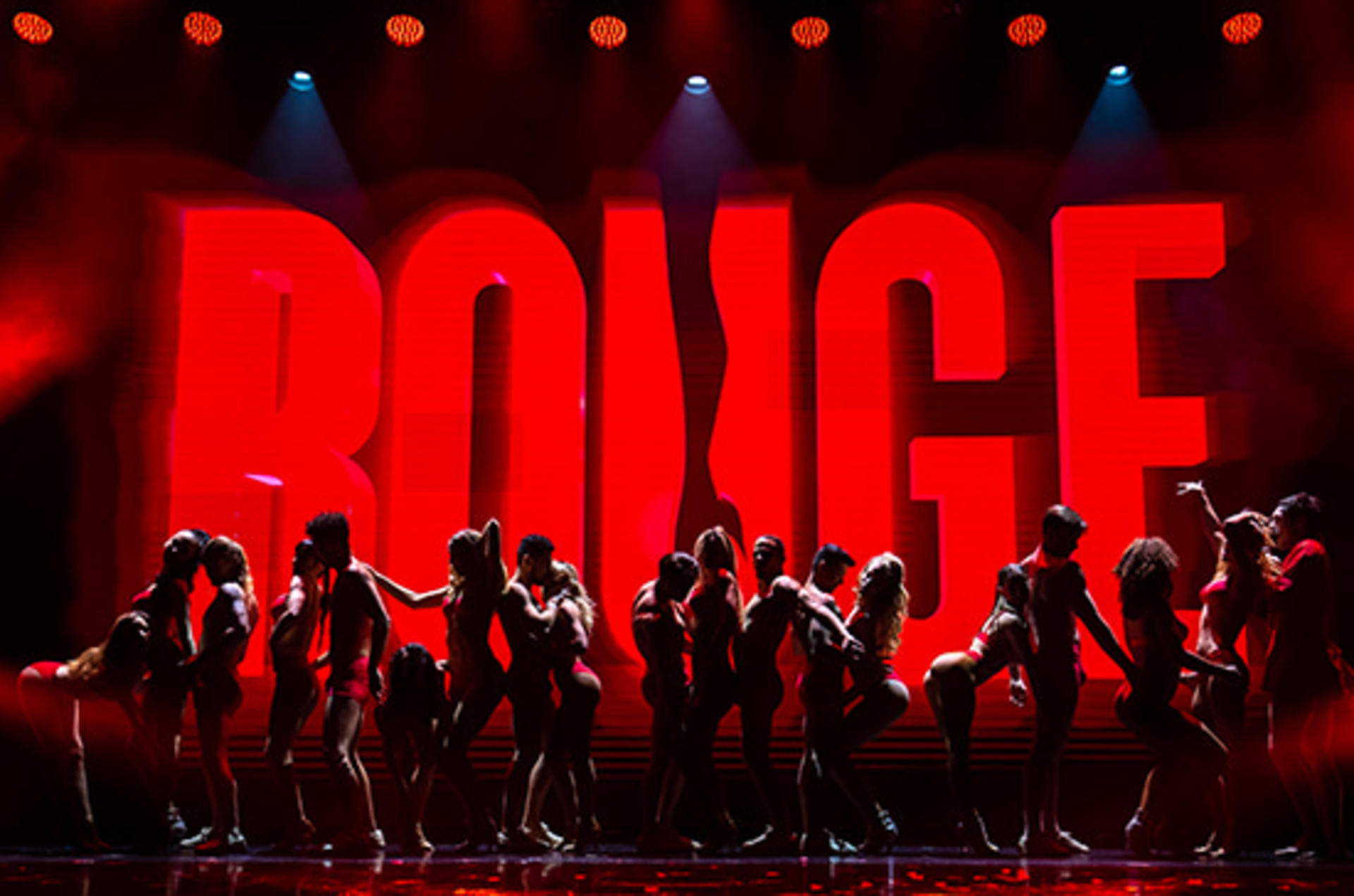 Rouge Show Ticket in Las Vegas - Image 1