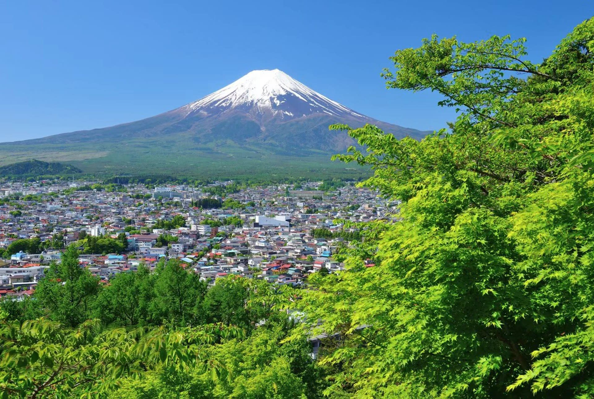 Mount Fuji Brilliant Scenery One-Day Tour (Departing from Tokyo) - Thumbnail 51
