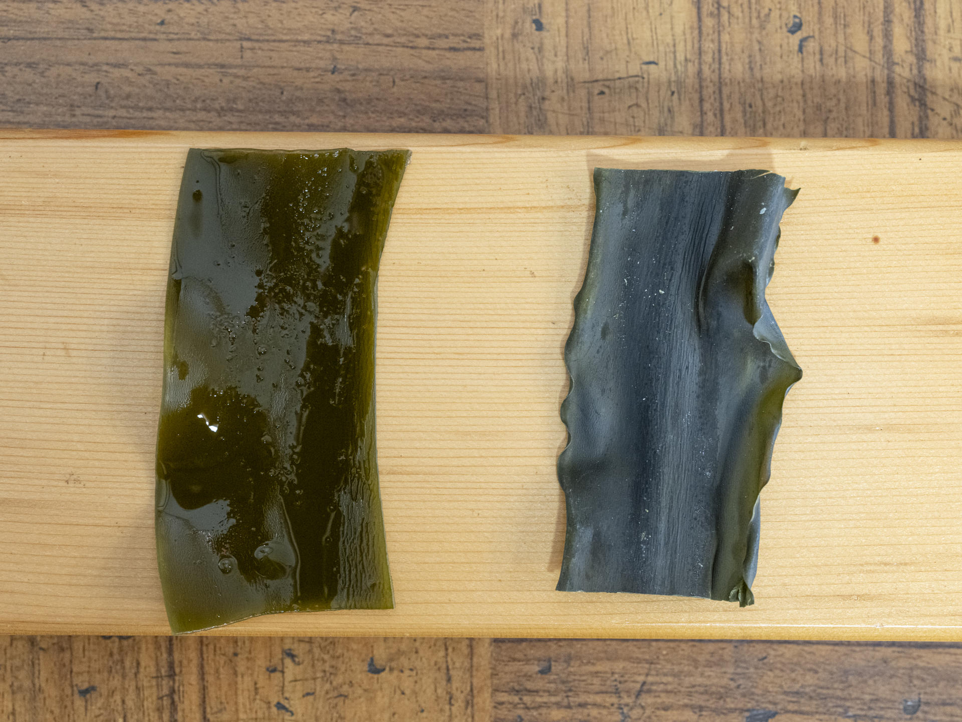 Kyoto Dashi & Umami Tasting Experience in Historic Kyoto Home - Thumbnail 11