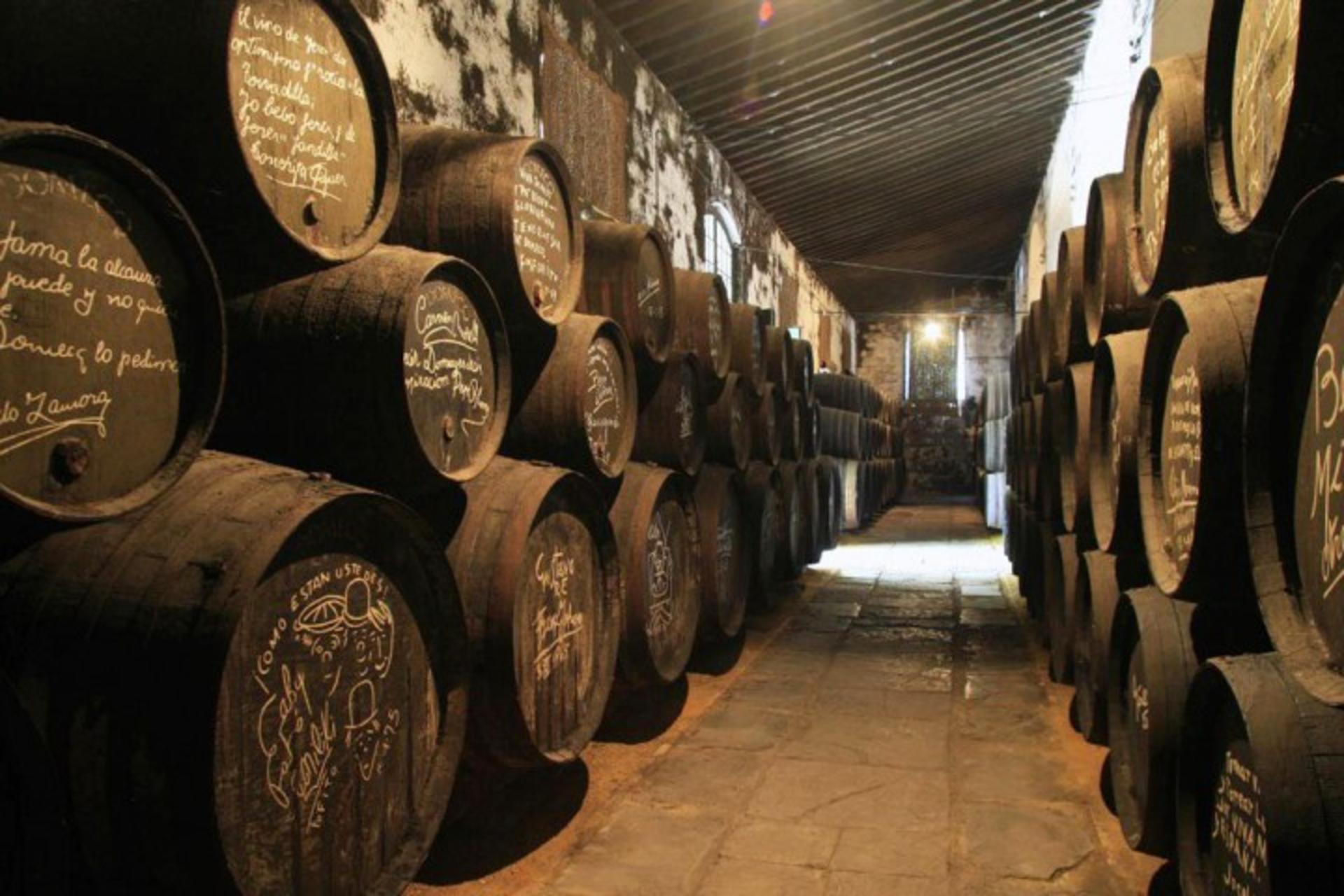 Cadiz and Jerez de la Frontera one-day tour from Seville - Thumbnail 3