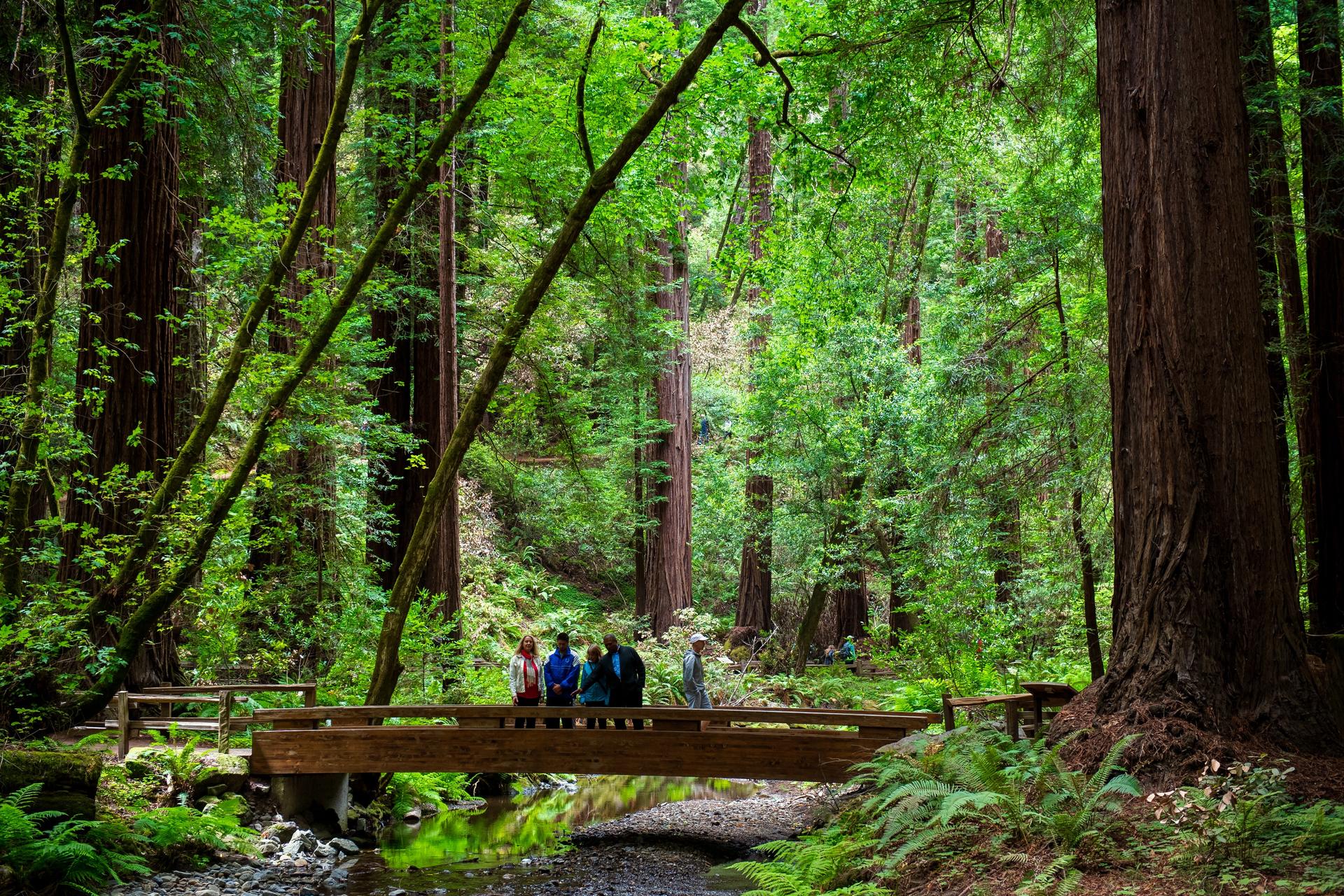 Muir Woods and California Wine Country Tour from San Francisco - Thumbnail 9