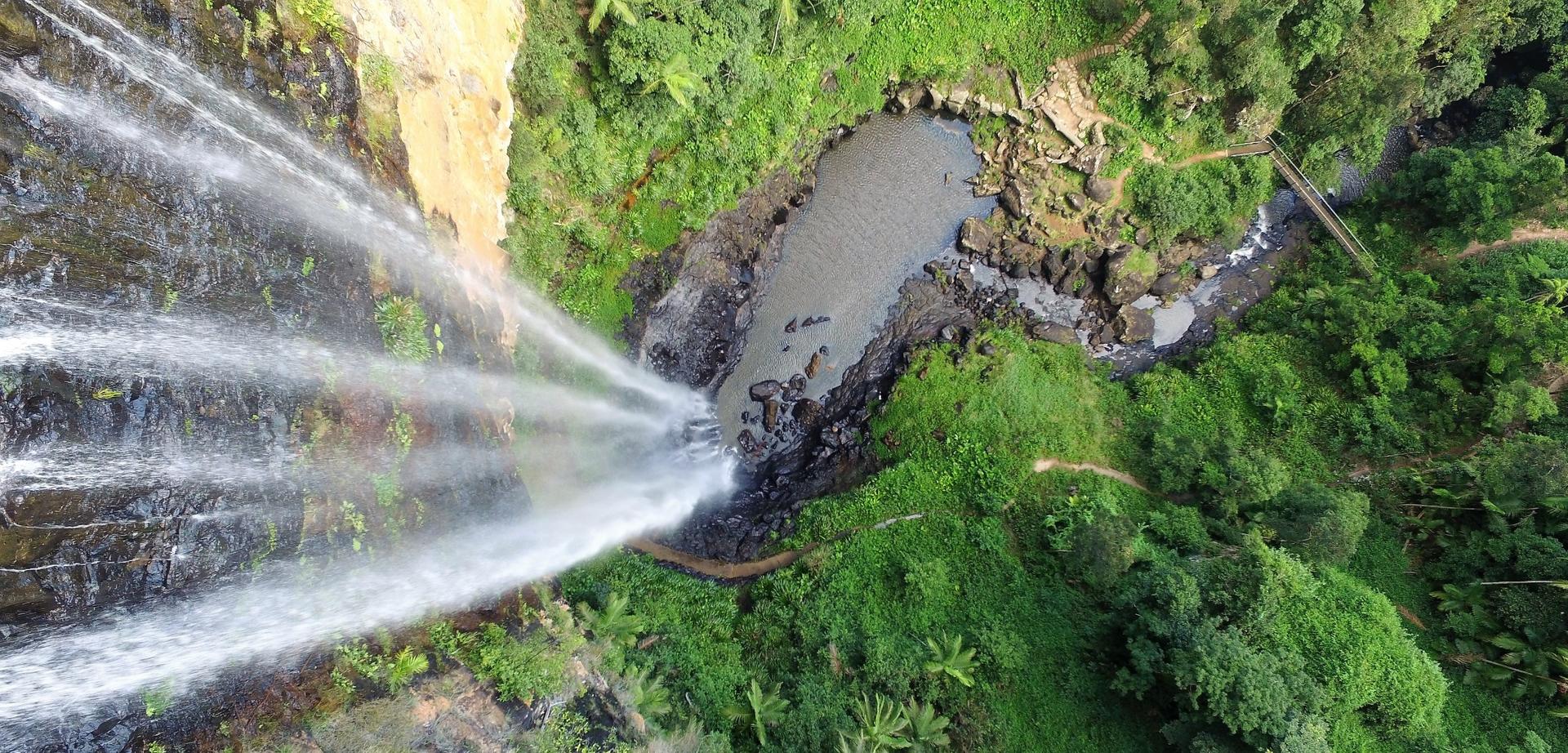 Natural Bridge and Springbrook Waterfalls Tour from Gold Coast - Image 1