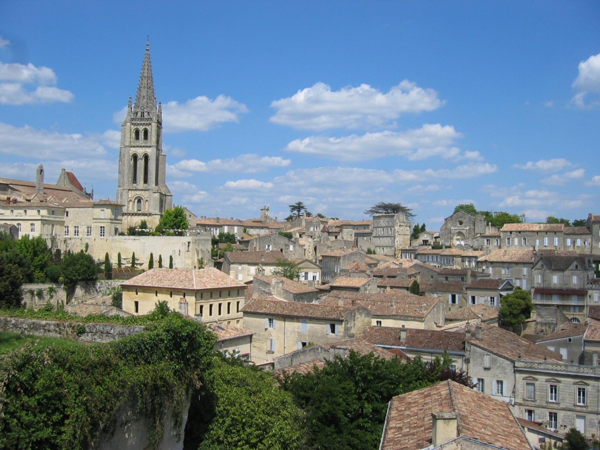 Bordeaux and Saint-Emilion Wine Discovery, Wine Tasting Class, and Tour - Thumbnail 5