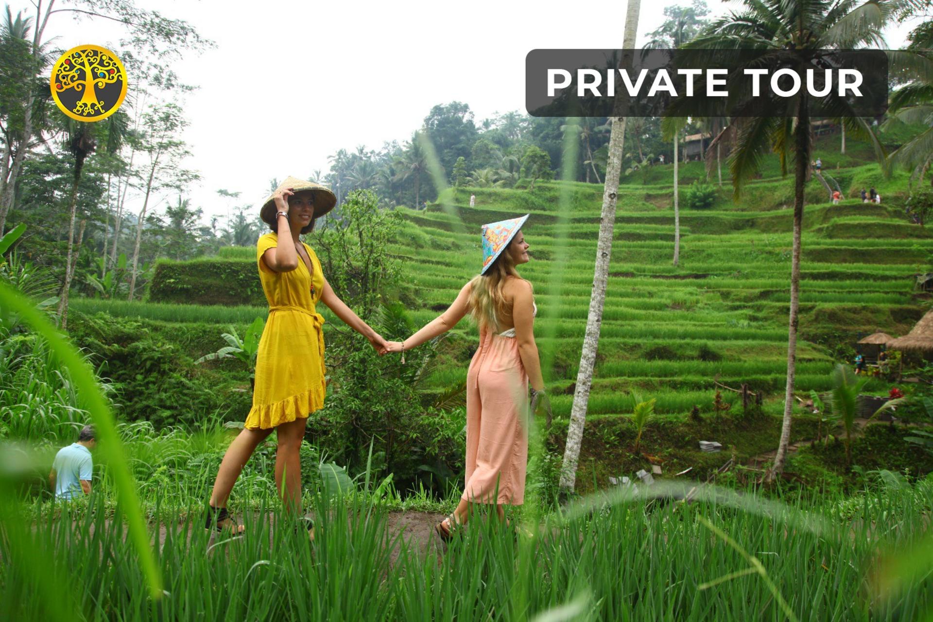 Ubud Nature Walk with Flying Fox, Spa or Jungle Swing Experience - Image 1