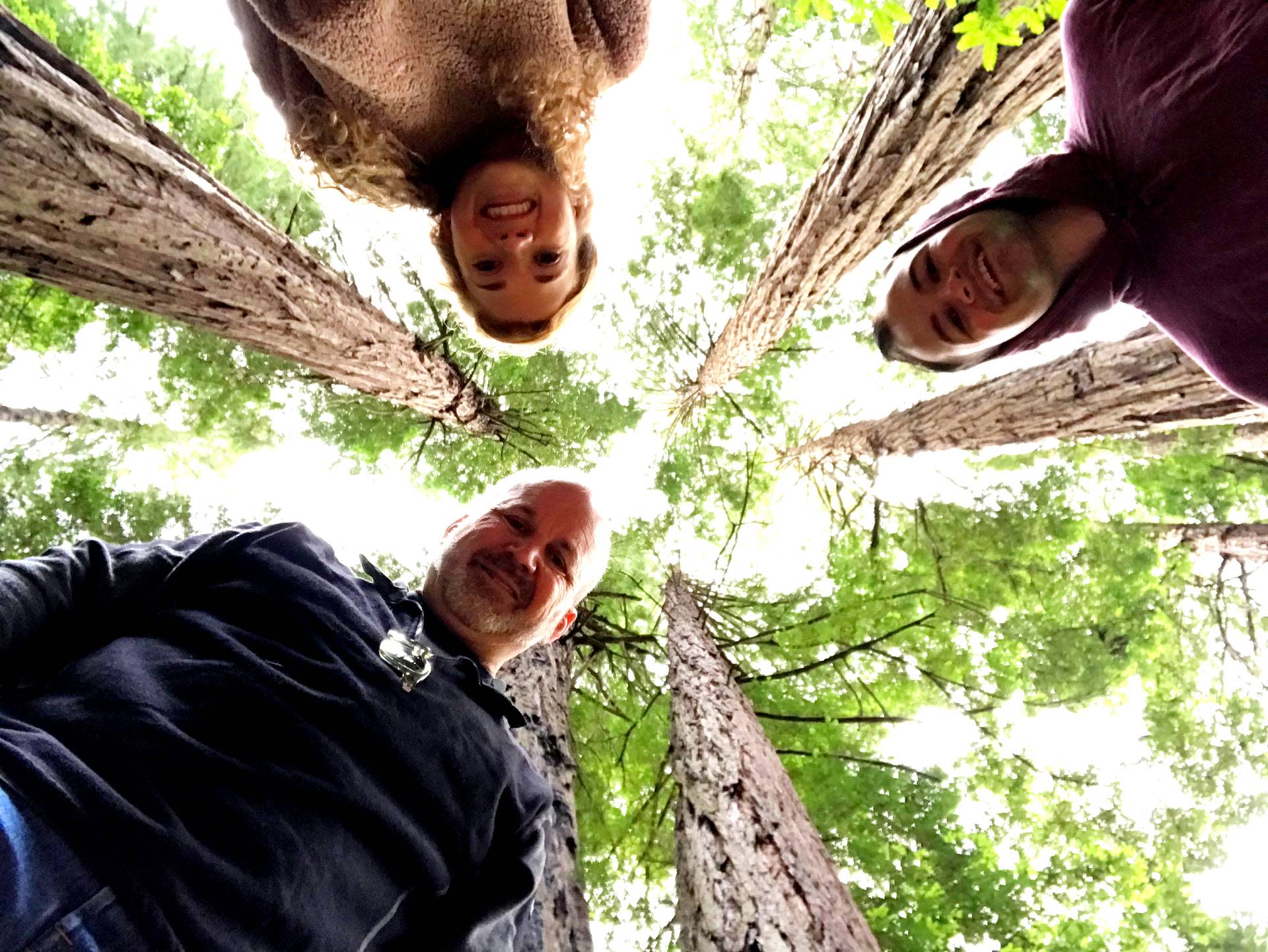 Private Full Day -Muir Woods, Sausalito & San Francisco Tour (max 6) - Thumbnail 3