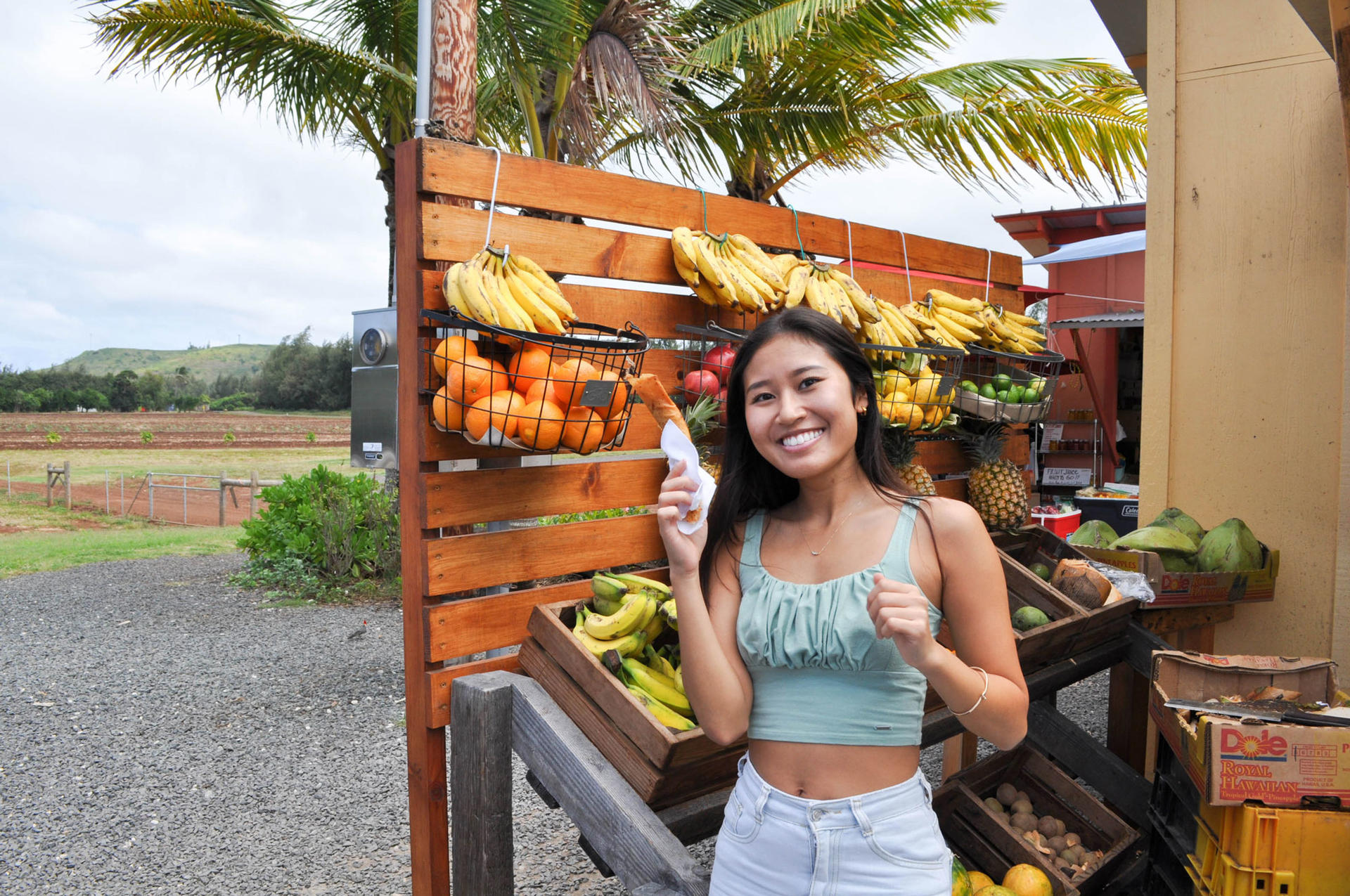 Oahu Circle Island Tour with Malasadas and Garlic Shrimp - Thumbnail 16