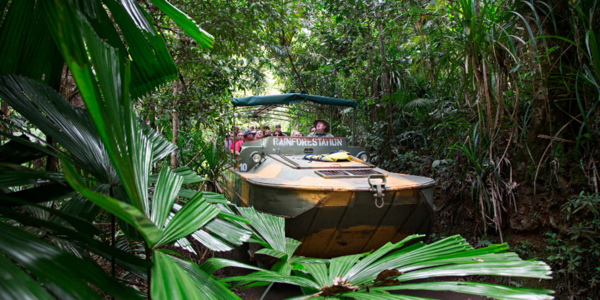 Kuranda Deluxe with Skyrail from Cairns - Thumbnail 3
