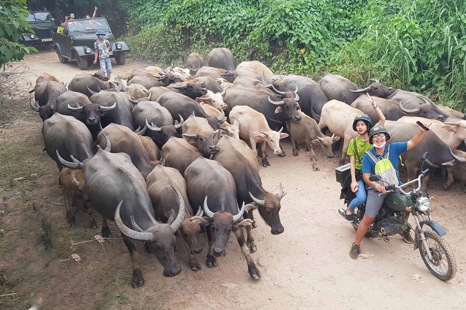 Rural Hanoi Vintage Minsk Motorbike Tour: Explore Red River Delta - Thumbnail 5
