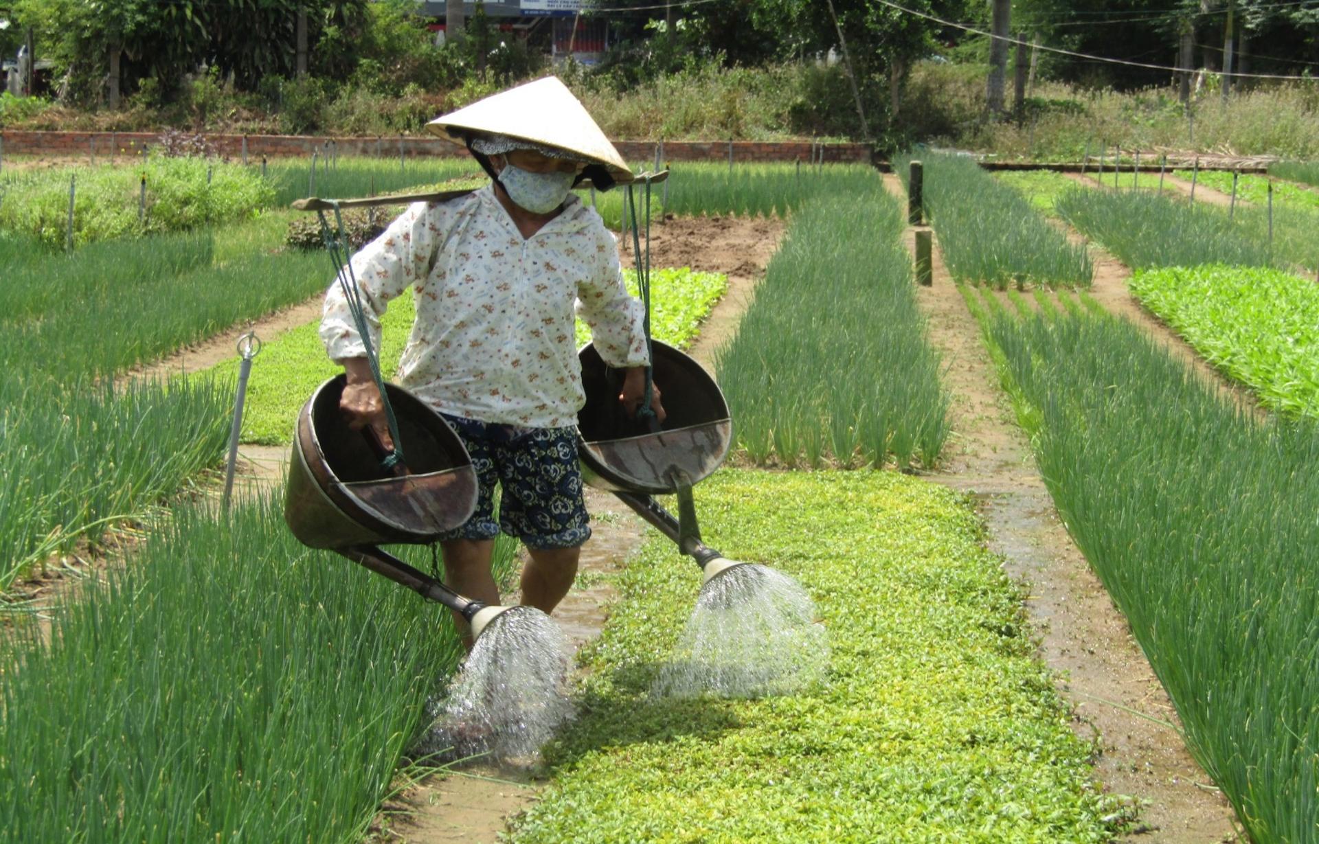 Hoi An Half-Day Private Countryside & Villages Tour - Thumbnail 3