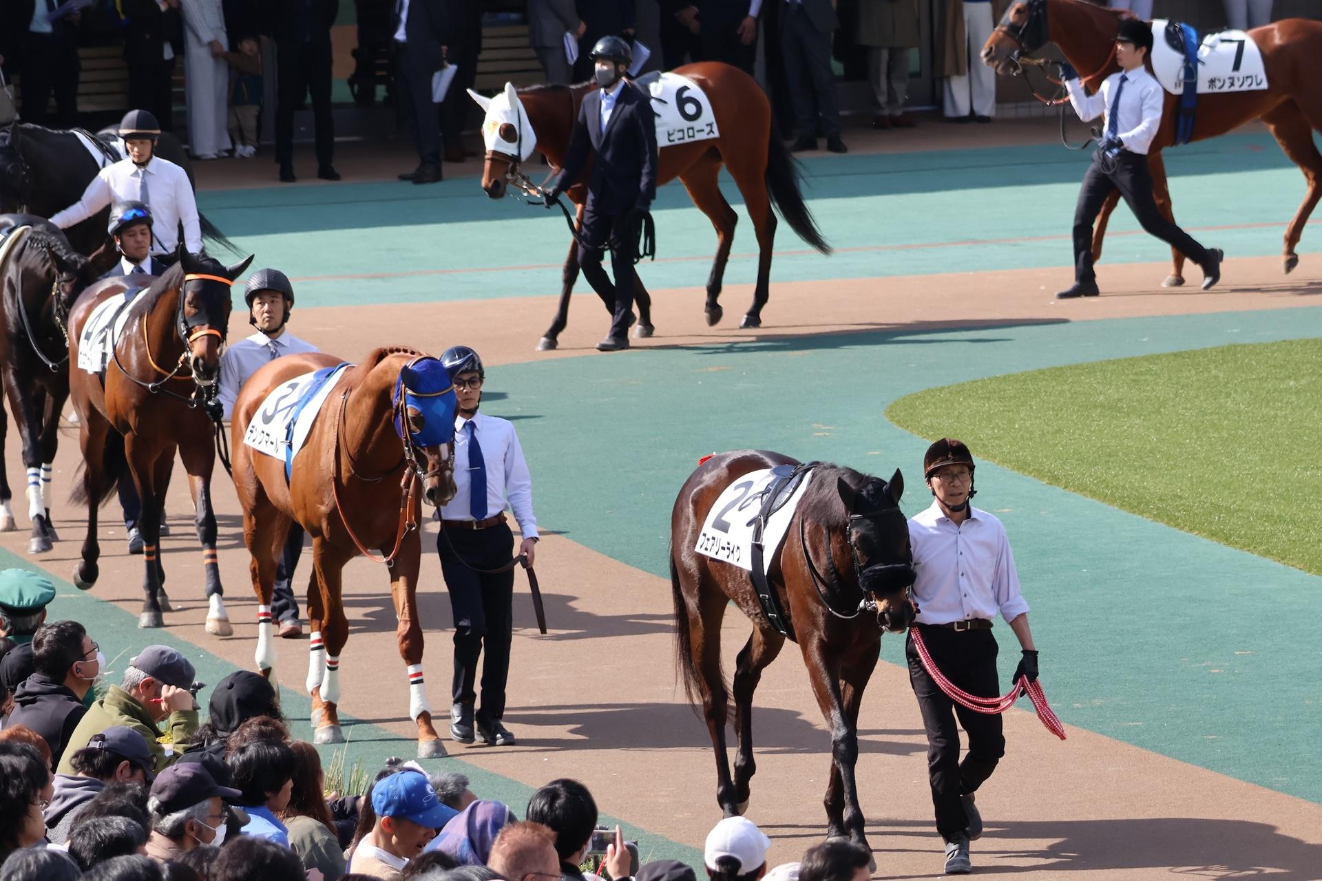 Tokyo Horse Racing Activity - Thumbnail 2