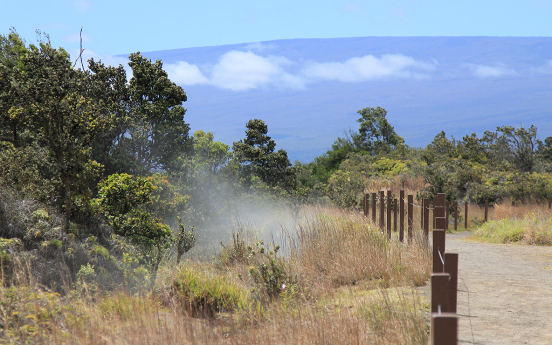 Hilo Volcano Land One Day Tour - Thumbnail 4