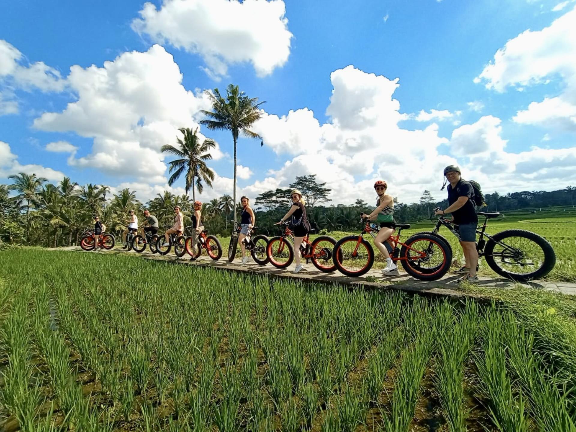 Ubud Rice Fields & Tegallalang E-Bike Discovery - Thumbnail 2