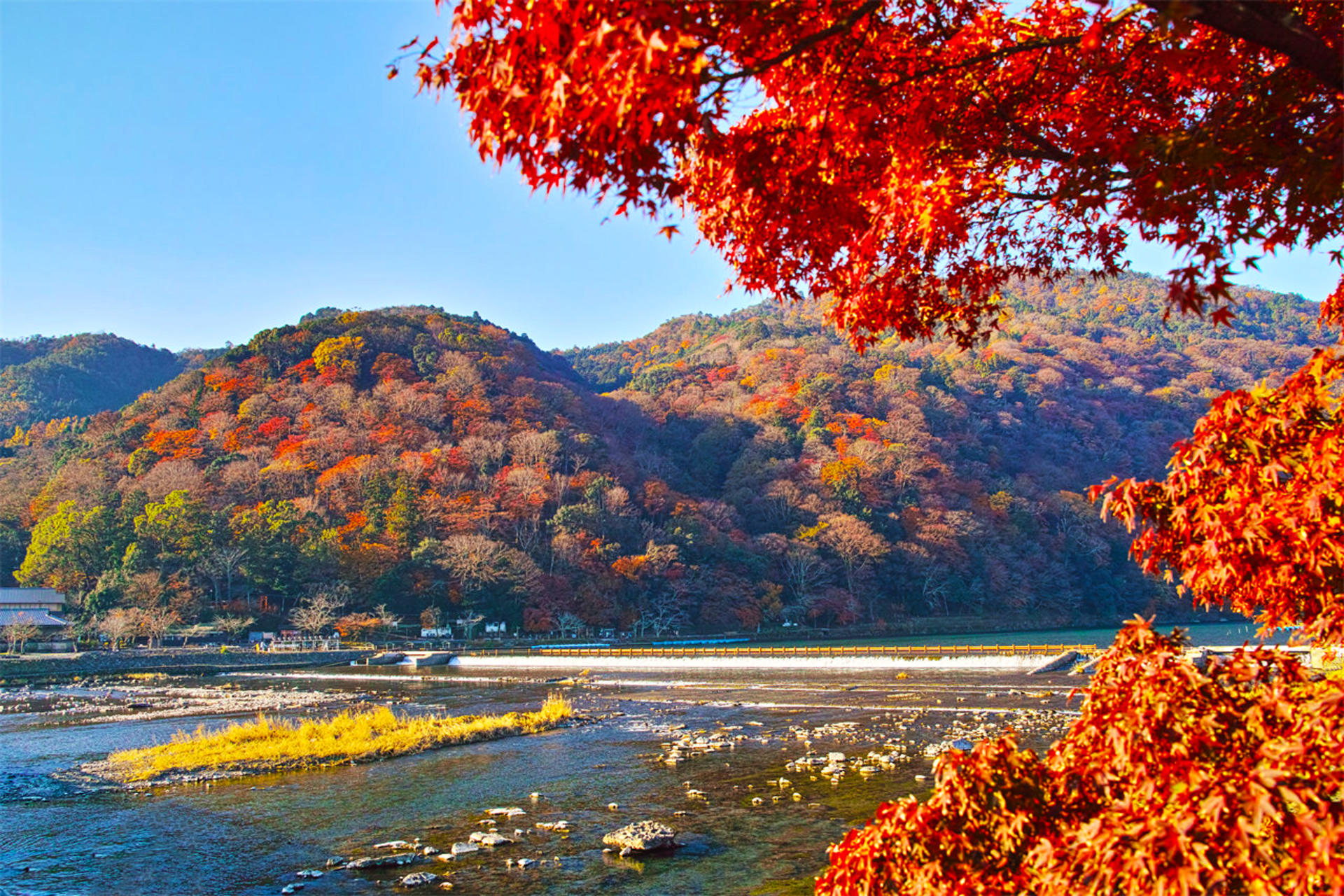 Kinkaku-ji Temple & Arashiyama Night Train Illuminations Autumn Foliage Viewing Day Tour - Thumbnail 5