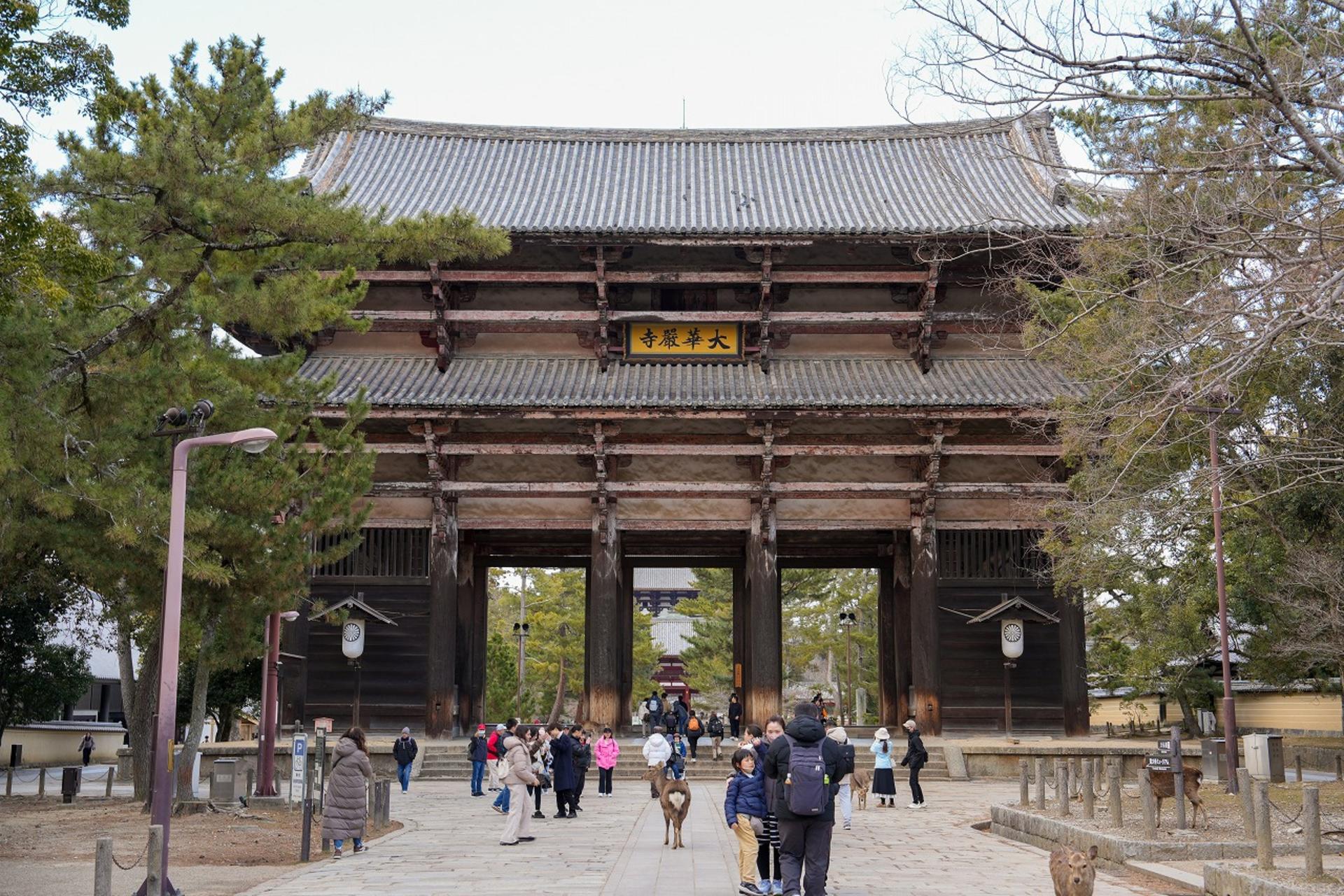 1-Day Nara & Osaka Private Highlights Day Tour  - Thumbnail 22