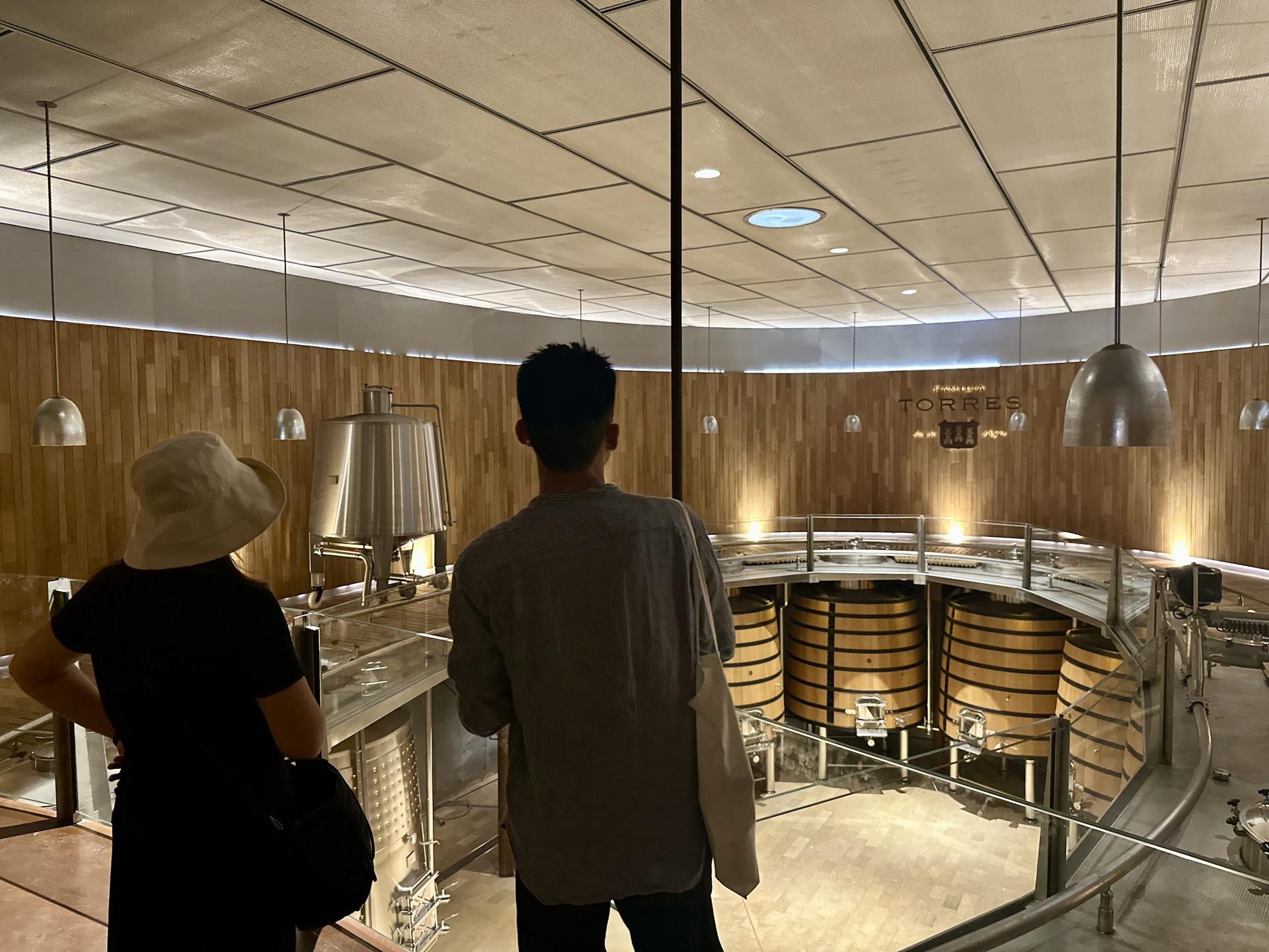 Barcelona Torres Winery Half-Day Small Group Tour - Thumbnail 4