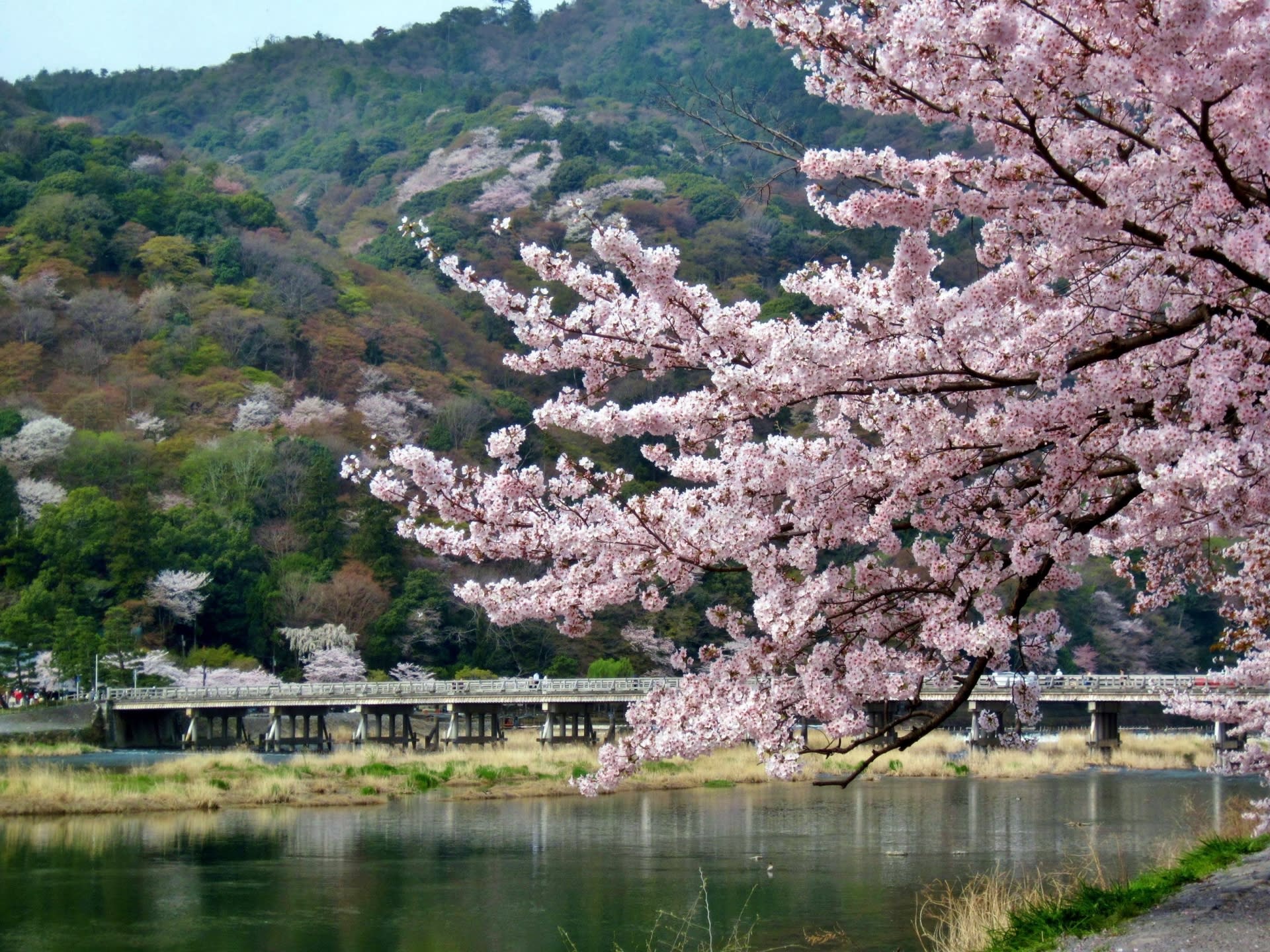 Kyoto: Arashiyama Premium Chopstick Making With Engraving Option - Thumbnail 7