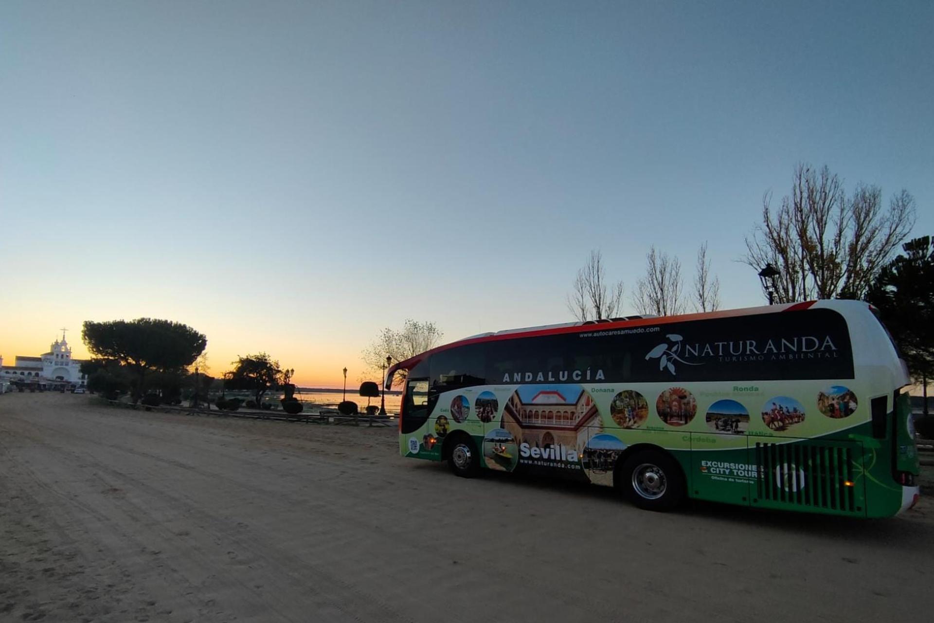 Donana National Park and El Rocio Village Day Tour from Seville - Thumbnail 3