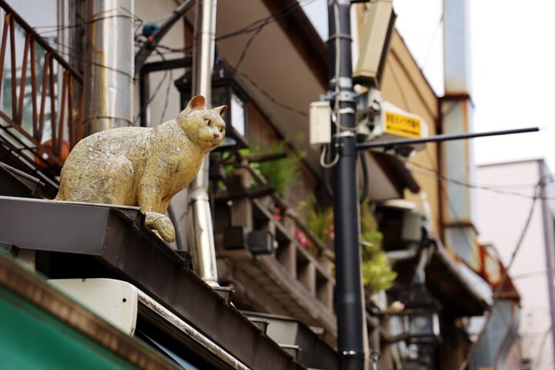 Encounter Cultural Heritage & Enjoy Yanaka Old Town (Tokyo) - Thumbnail 16