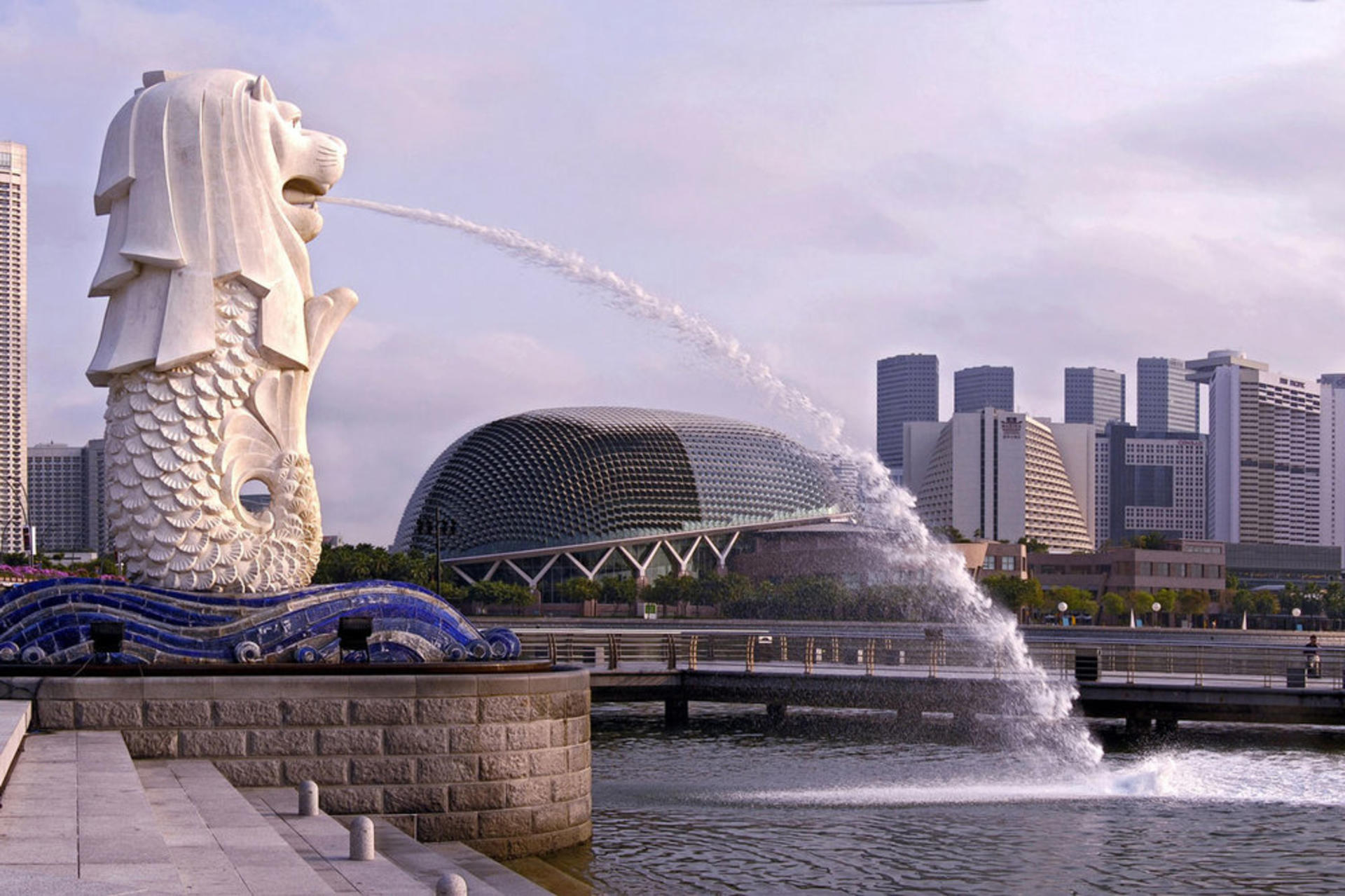 Singapore Historical Tour with Tea and Dinner - Thumbnail 2