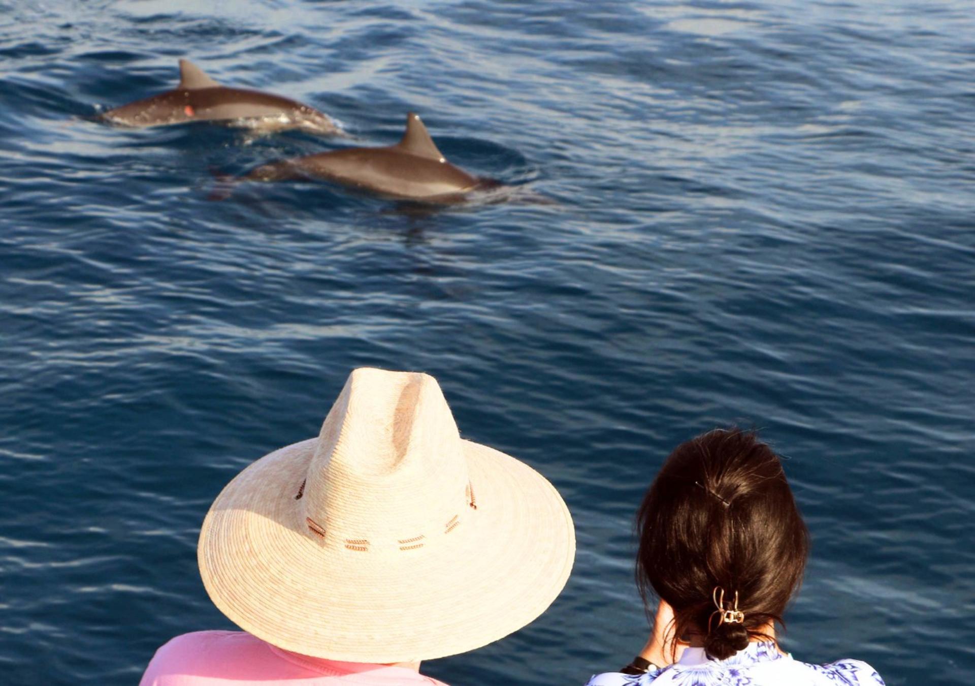 Luxury Morning Snorkel Cruise with Dolphin Watching in Oahu - Thumbnail 15