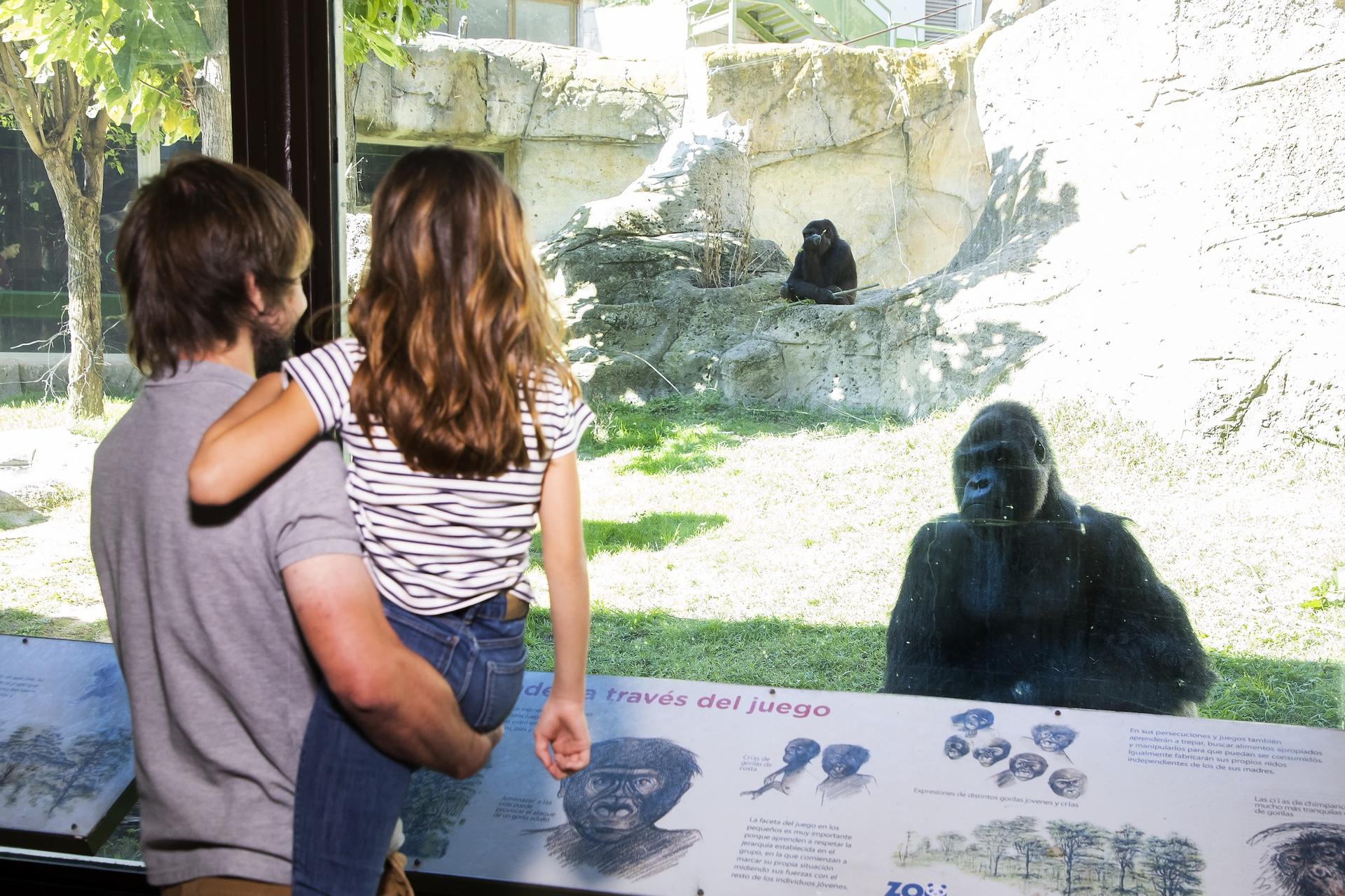 Zoo Aquarium Admission in Madrid - Thumbnail 5