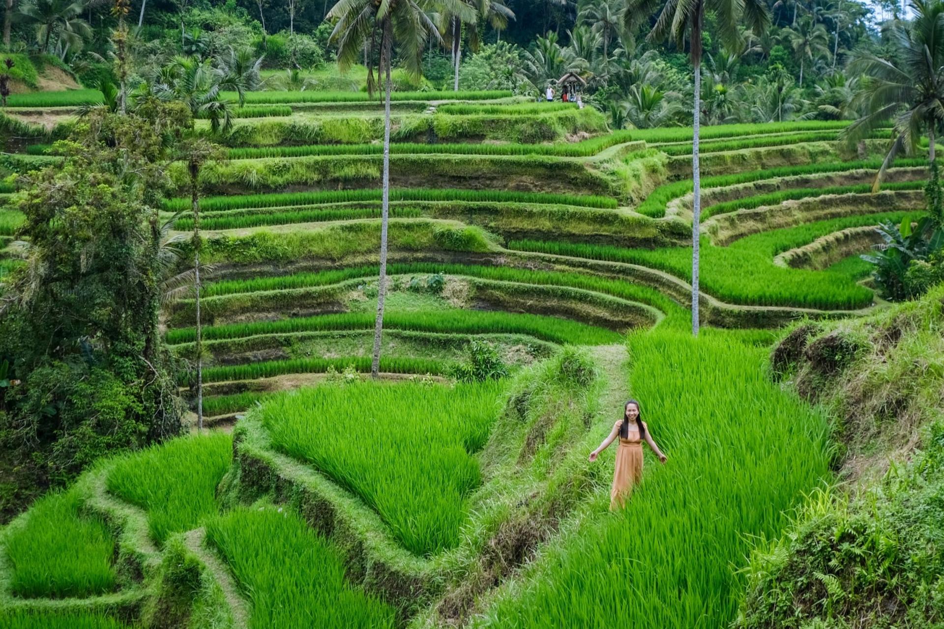 Bali Ubud Full-Day Private Tour with Monkey Forest & Rice Terrace - Thumbnail 22