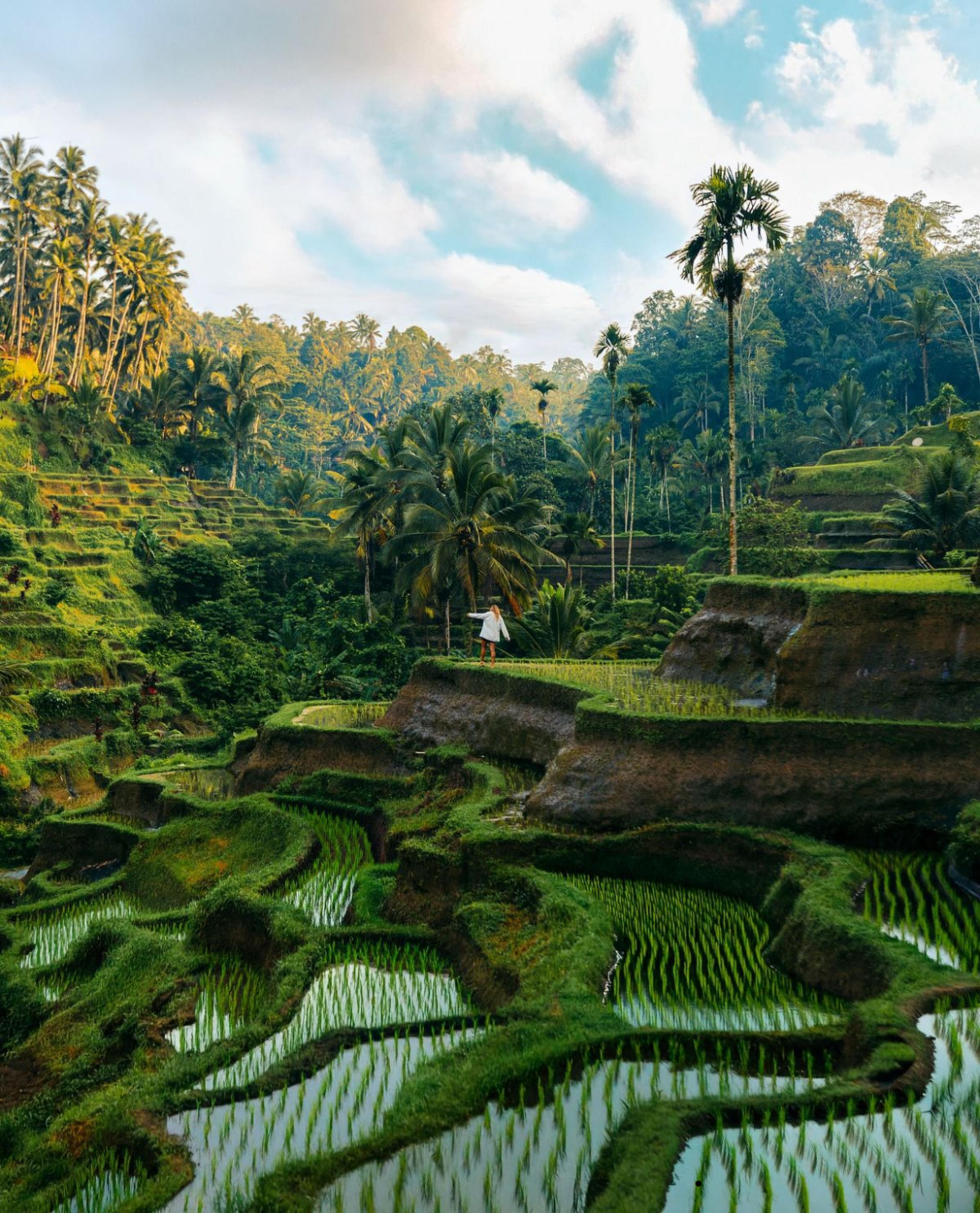 Koi Pond Bali Photoshoot & Ubud Instagramable Tour - Thumbnail 9