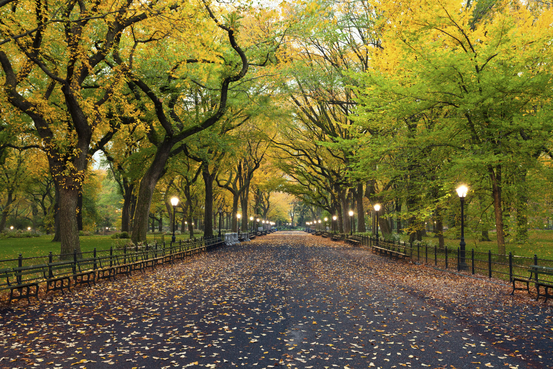 Central Park Self-Guided Audio Tour in New York - Thumbnail 4