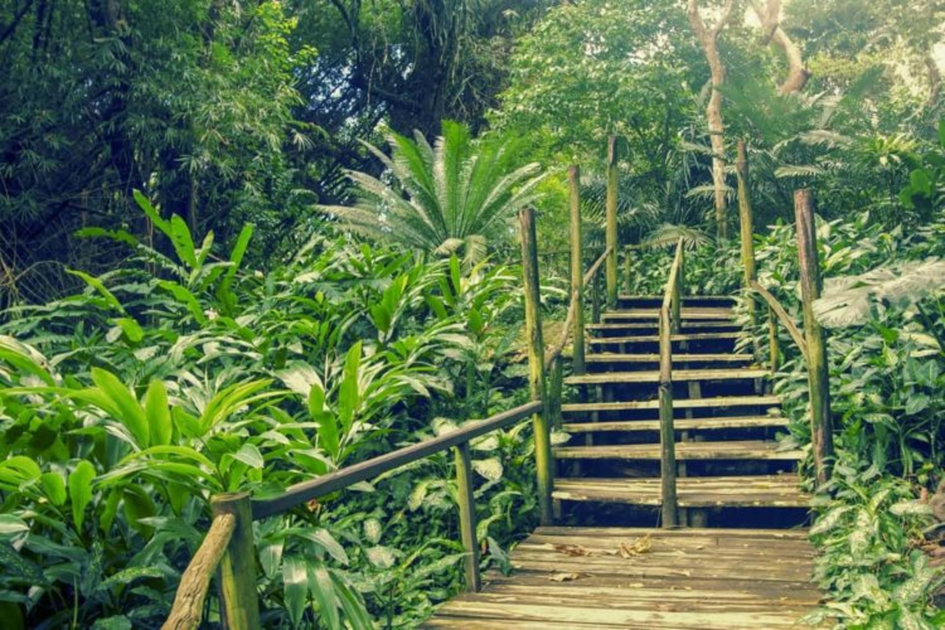 Best Of Nadi Sightseeing Tour - Image 1