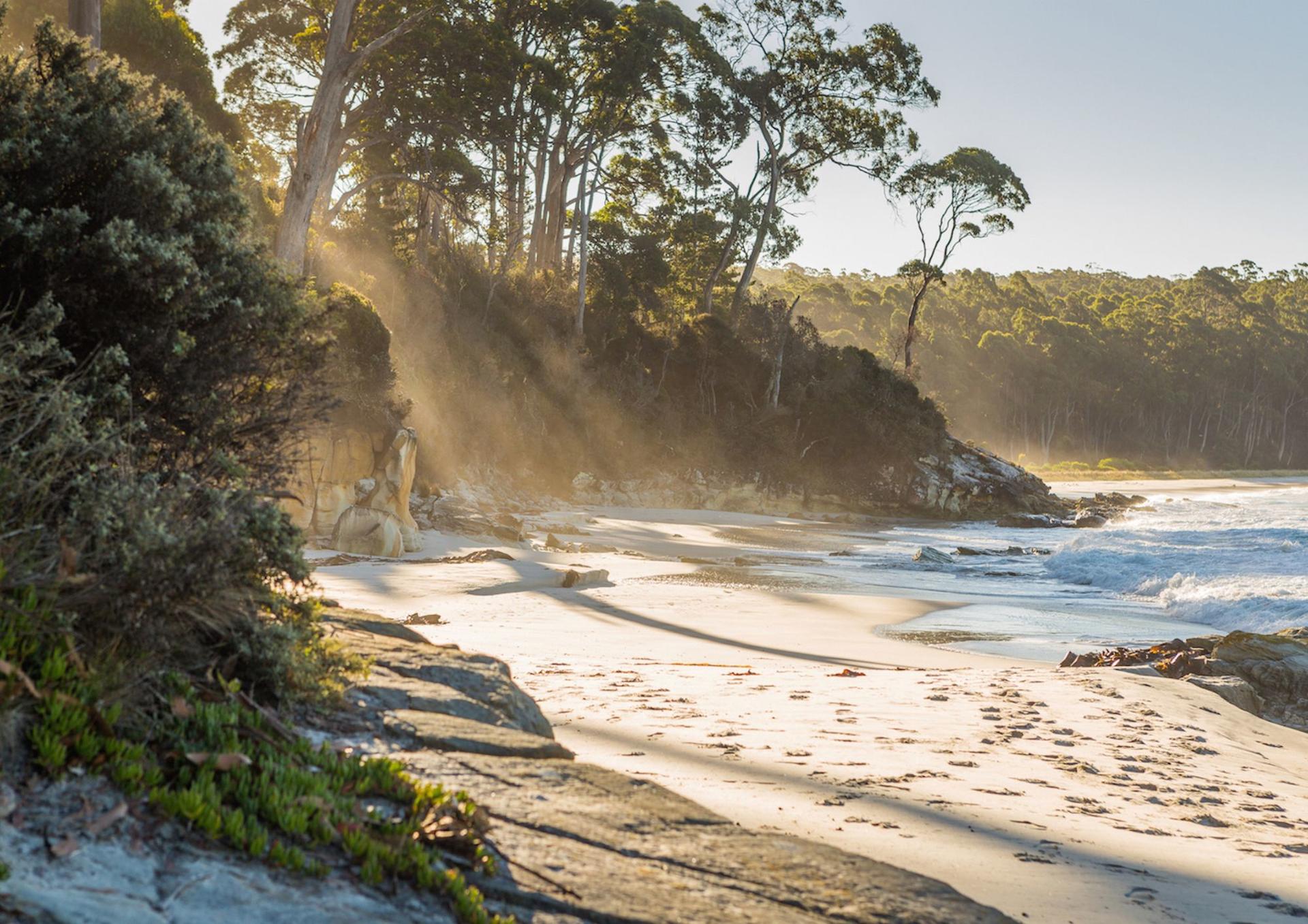 4 Day Bundle - Hobart, Port Arthur, Bruny, Hastings and Tahune - Thumbnail 3