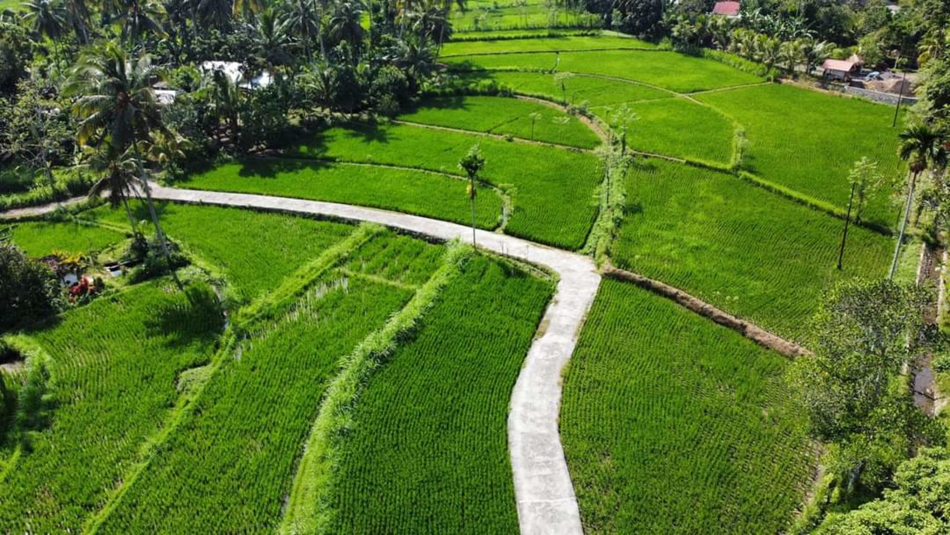 Lombok Local Village Tour & Workshop | Multilingual Guide - Image 1