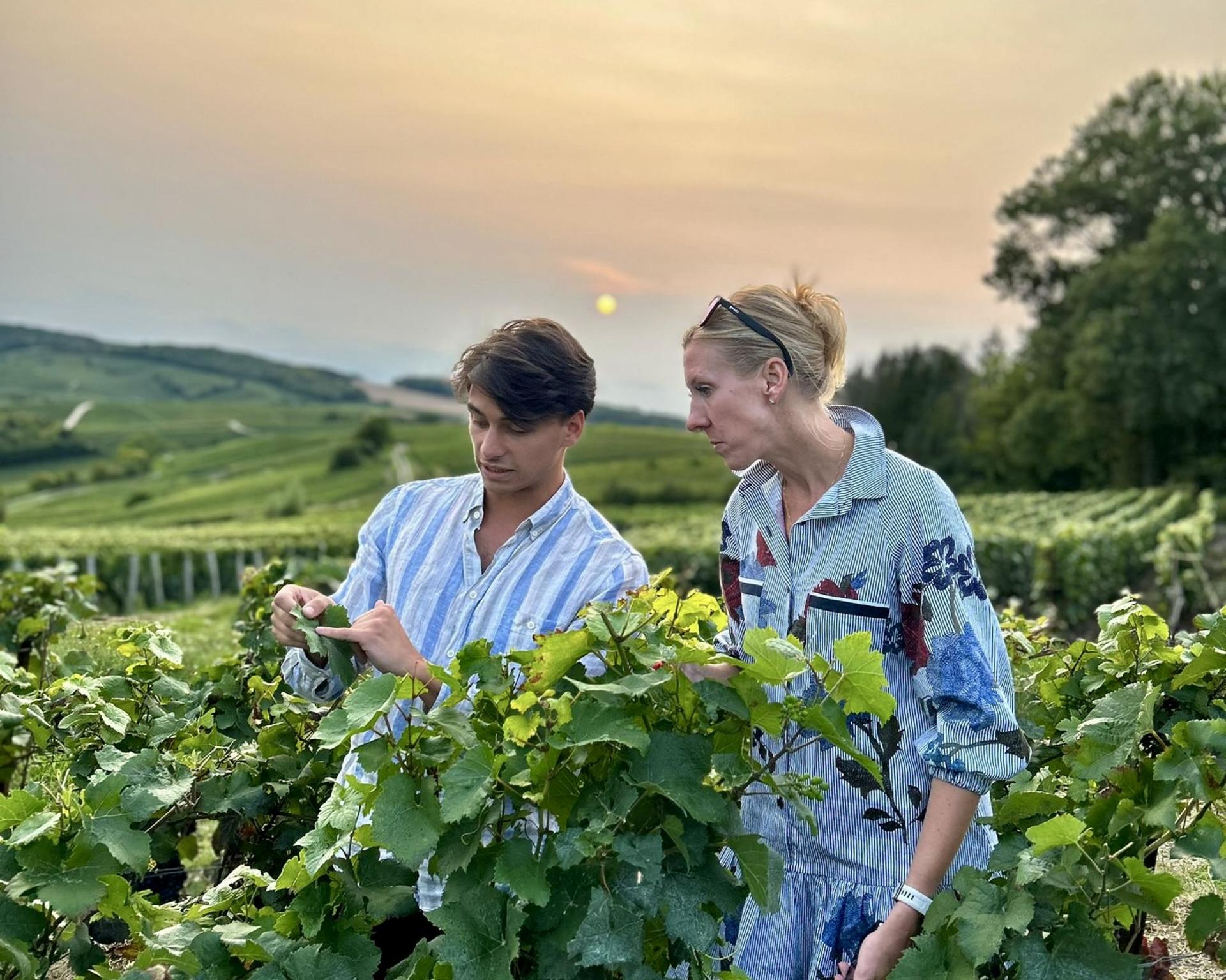 Champagne Full-Day Small Group Tour with Wine Tasting - Thumbnail 2
