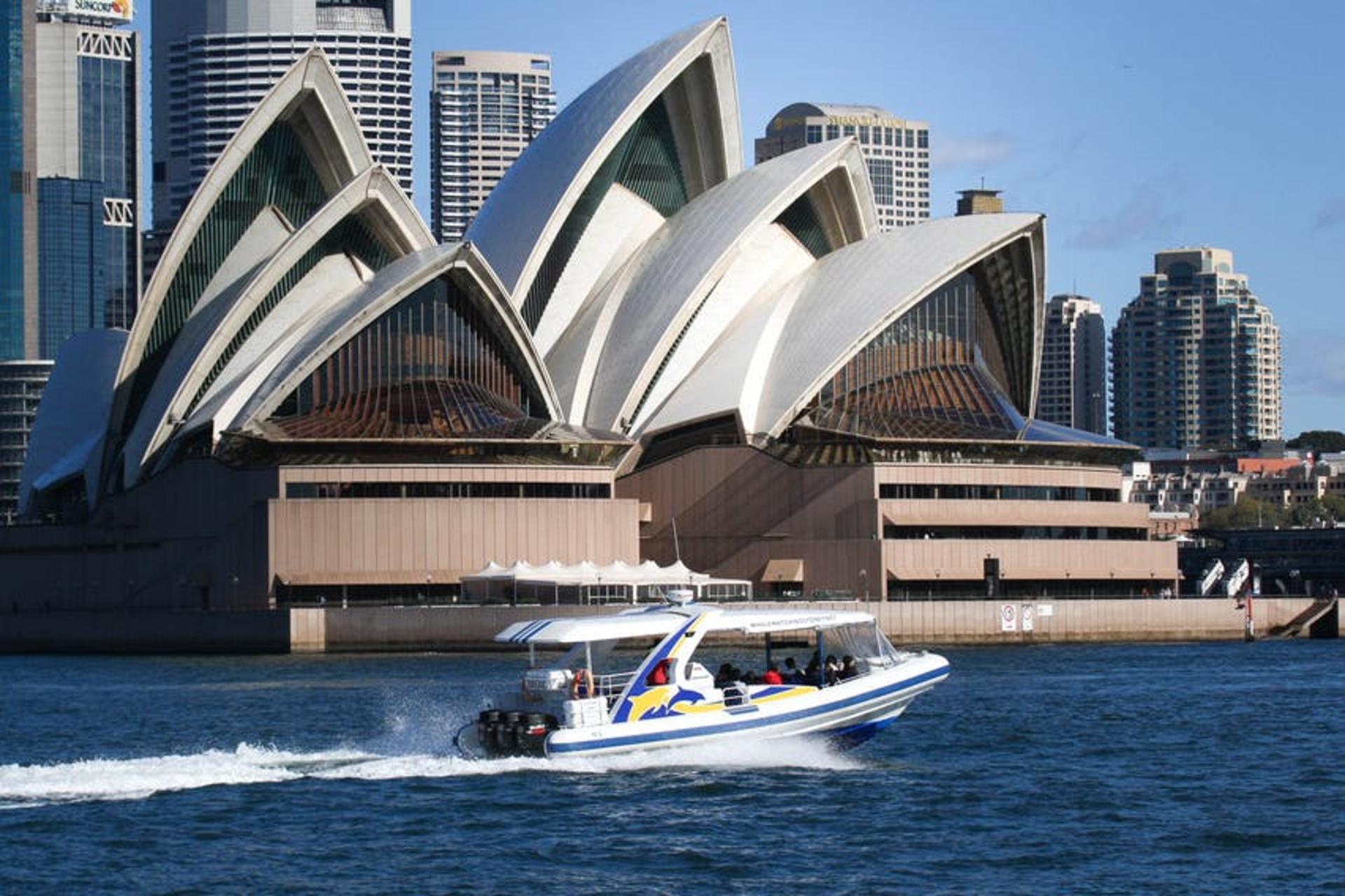 Sydney 2.5-Hour Adventure Whale Watching Cruise - Thumbnail 3