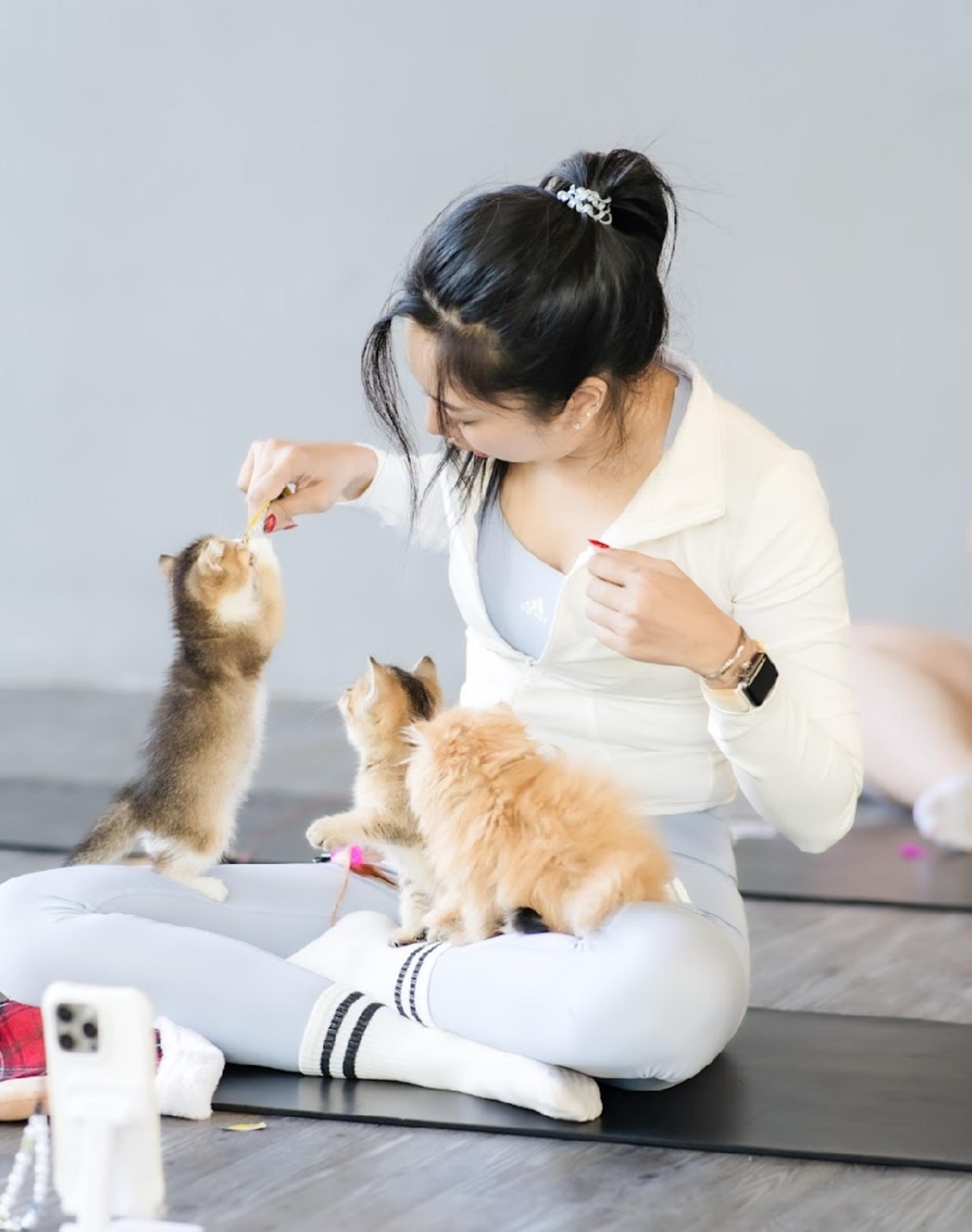 Puppy & Kitten Yoga Therapy with Photo Experience in Bangkok - Thumbnail 27