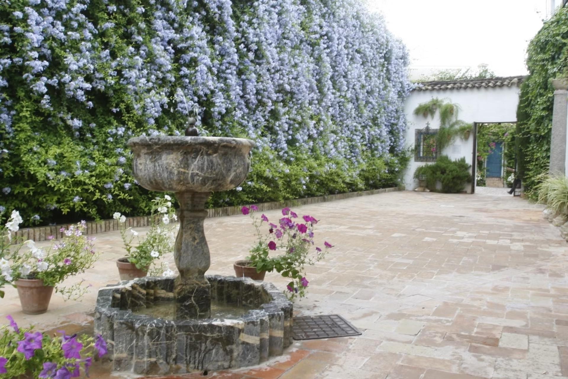 Cordoba Viana Patios Ticket - Image 1