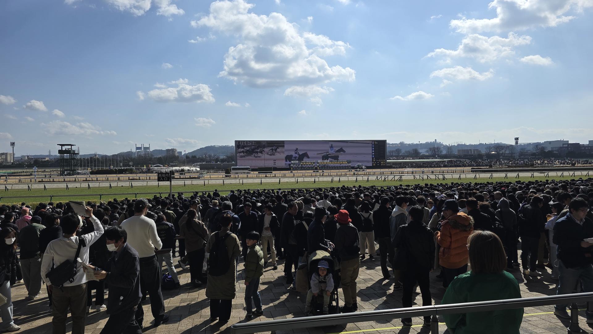 Tokyo Horse Racing Experience with Local Fan - Thumbnail 15