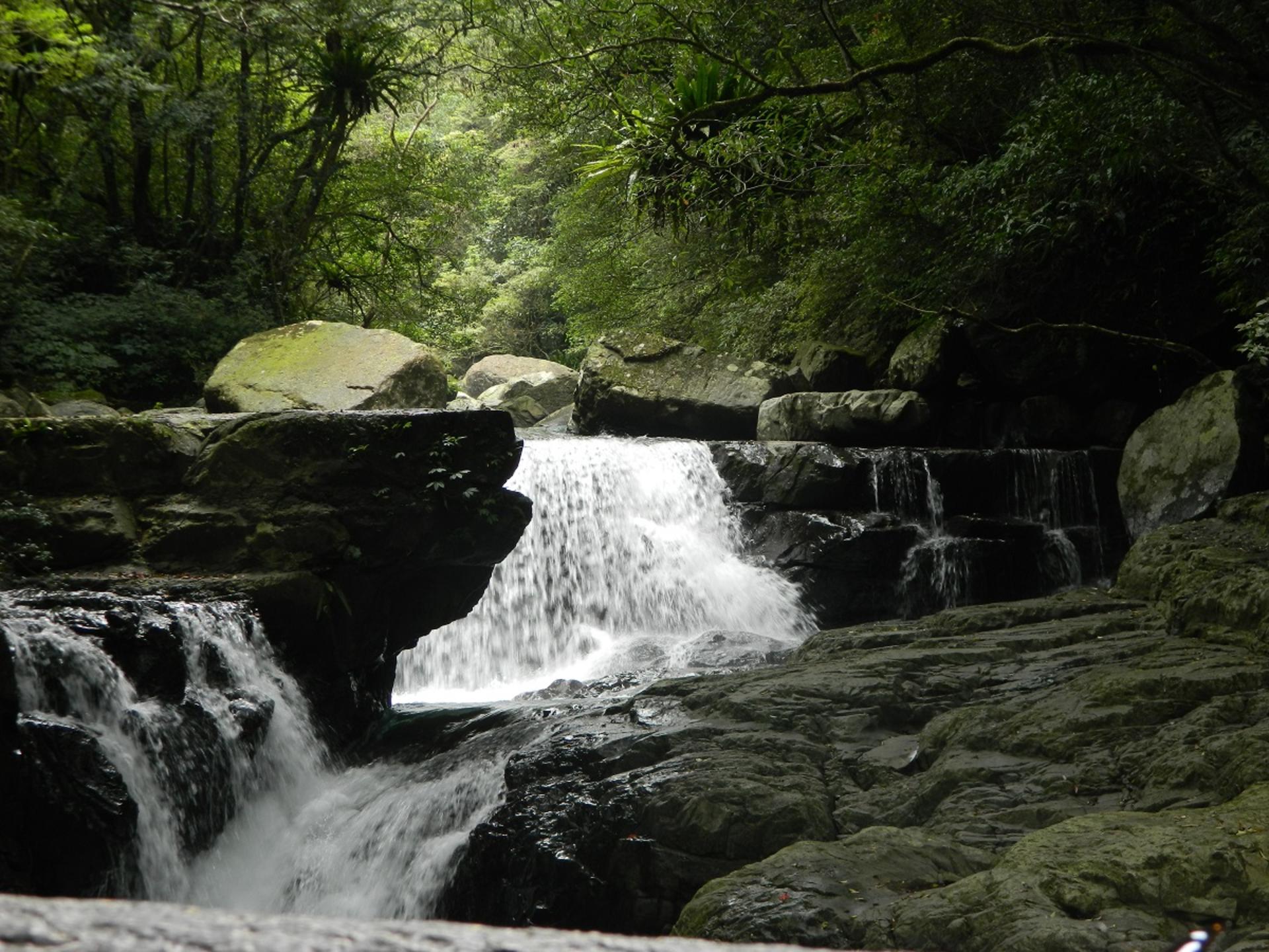 Full Moon National Forest Recreation Area Tickets