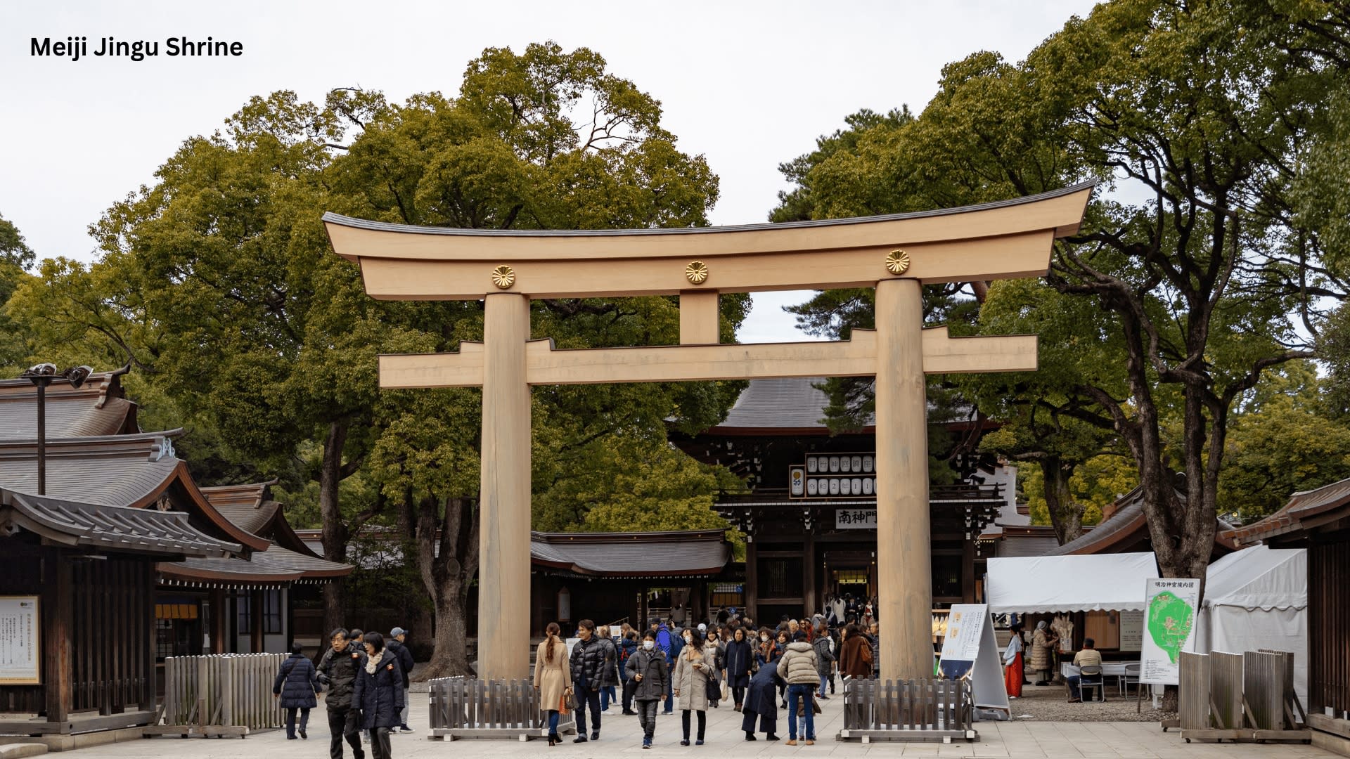 Tokyo Private Tours - Trips to Tokyo One-day Private & Customizable Tour - Thumbnail 4