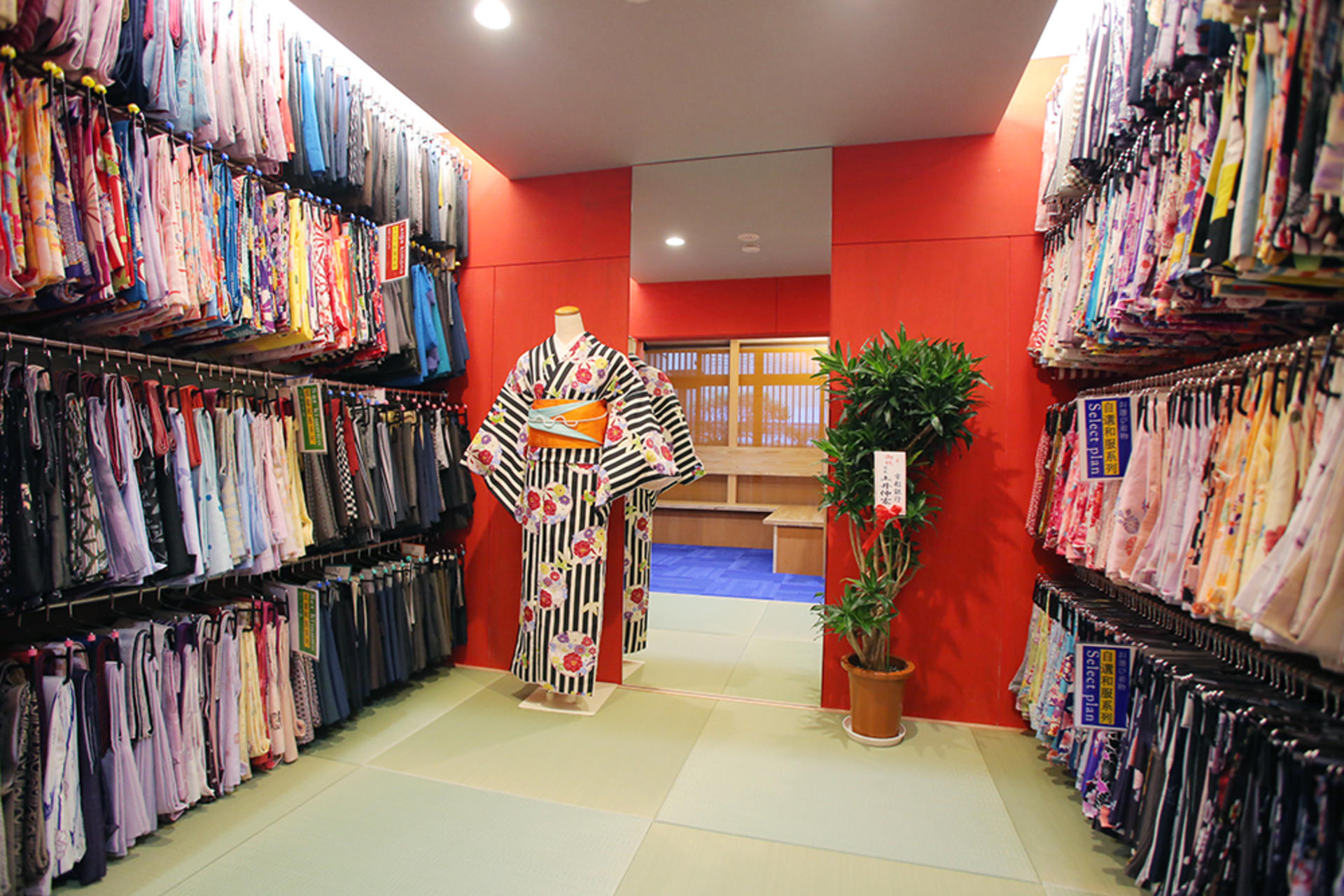 Kimono Rental (Kyoto Kiyomizu-dera Temple / Provided by Shiki Sakura) - Thumbnail 3