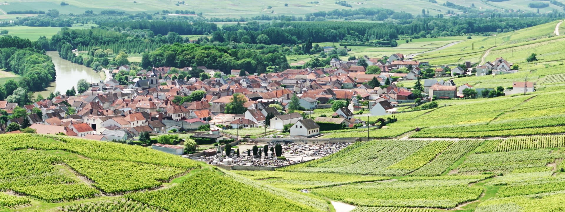 Champagne Region Day Tour with Wine Tastings from Paris  - Image 1