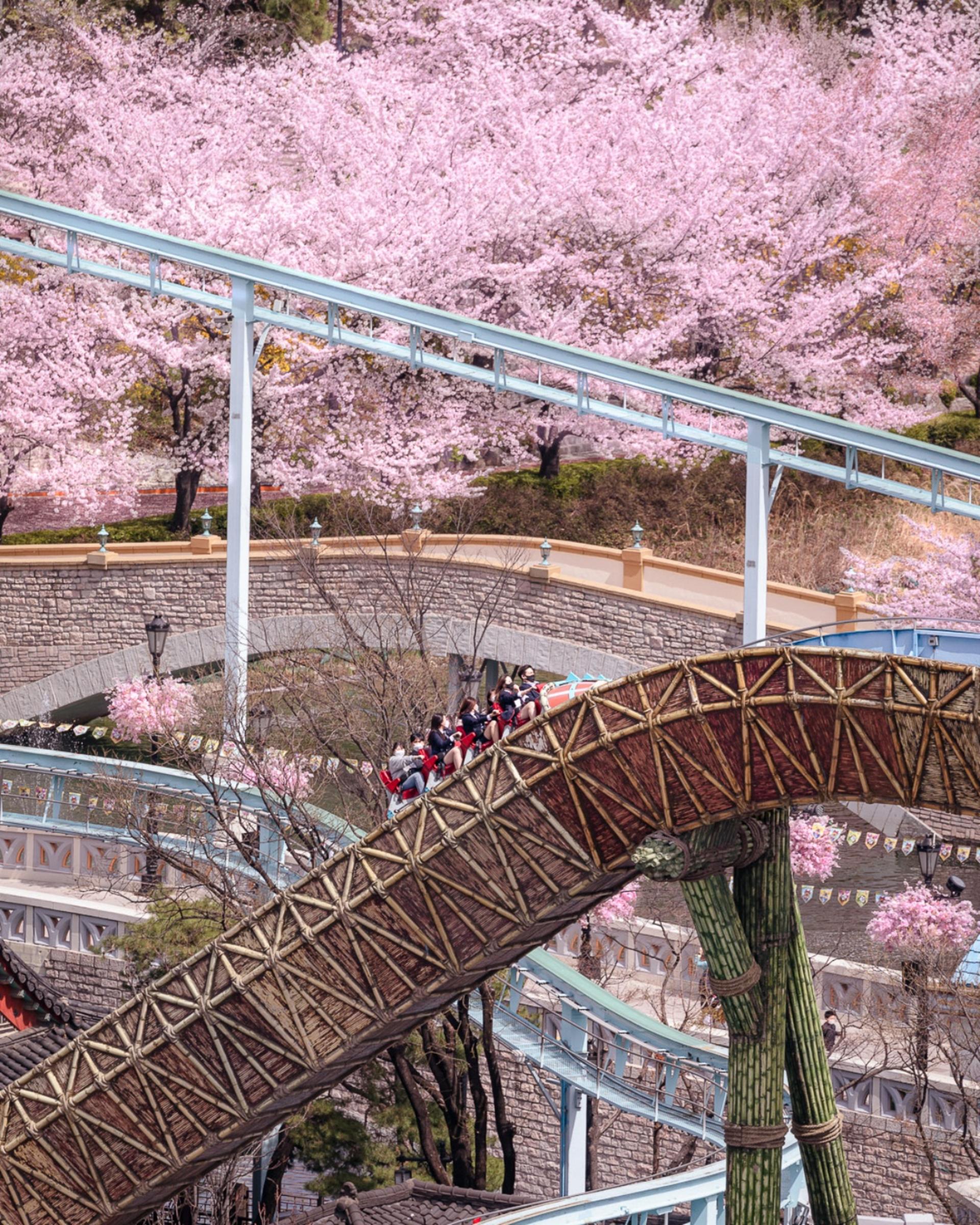 Lotte World Ticket in Seoul - Thumbnail 25